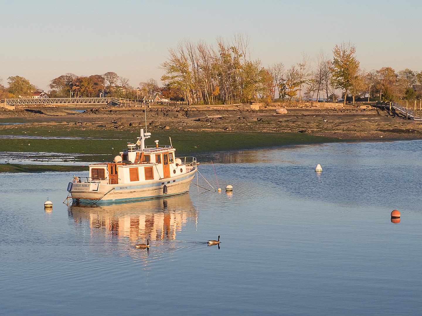 Olympus M.Zuiko Digital 40-150mm F4.0-5.6 R Black for Micro Four Thirds System Camera, 3.75x Zoom Lens, Portable Design - Customer Photo 2
