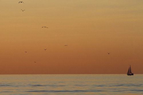 Tamron SP 24-70mm Di VC USD Nikon Mount (Model A007N) - Customer Photo 5