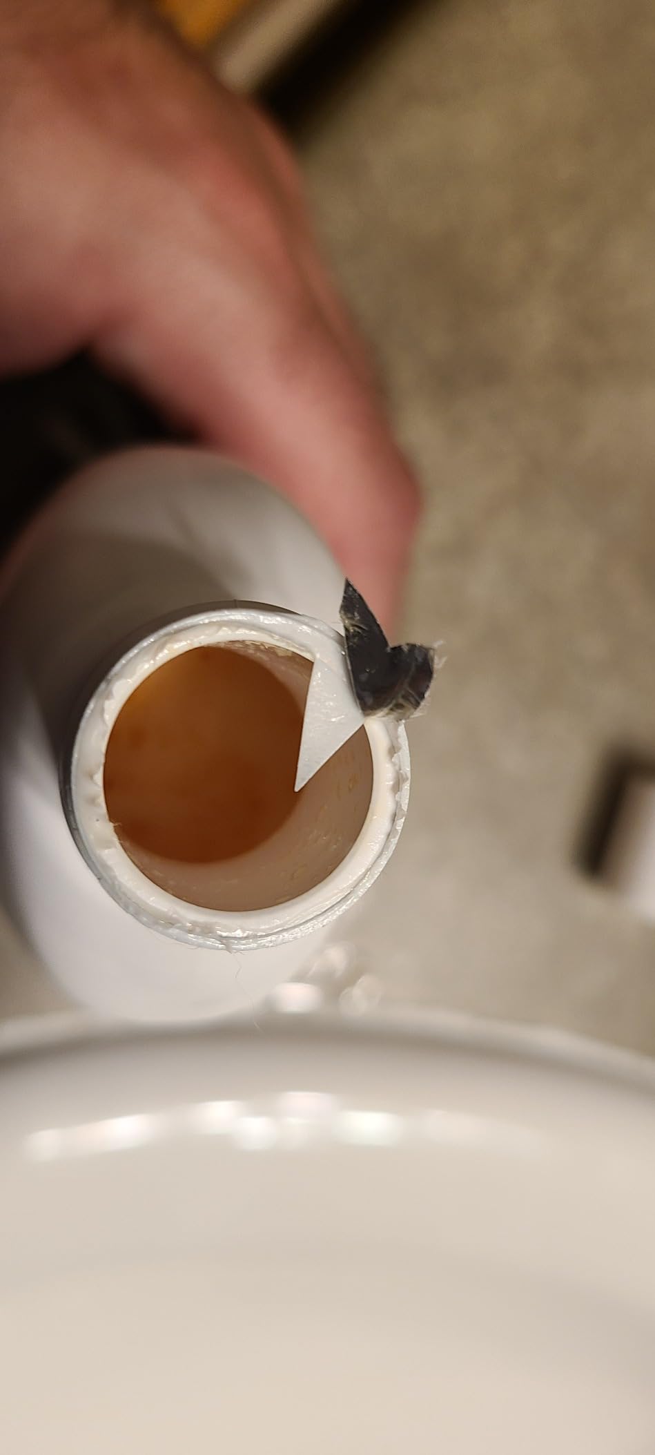 Young Living Thieves Fresh Essence Mouthwash | Alcohol-Free 8 fl oz Mouthwash Infused with Essential Oils | Gentle, Refreshing Oral Care for Long-Lasting Fresh Breath & Healthy-Looking Smile - Customer Photo 1