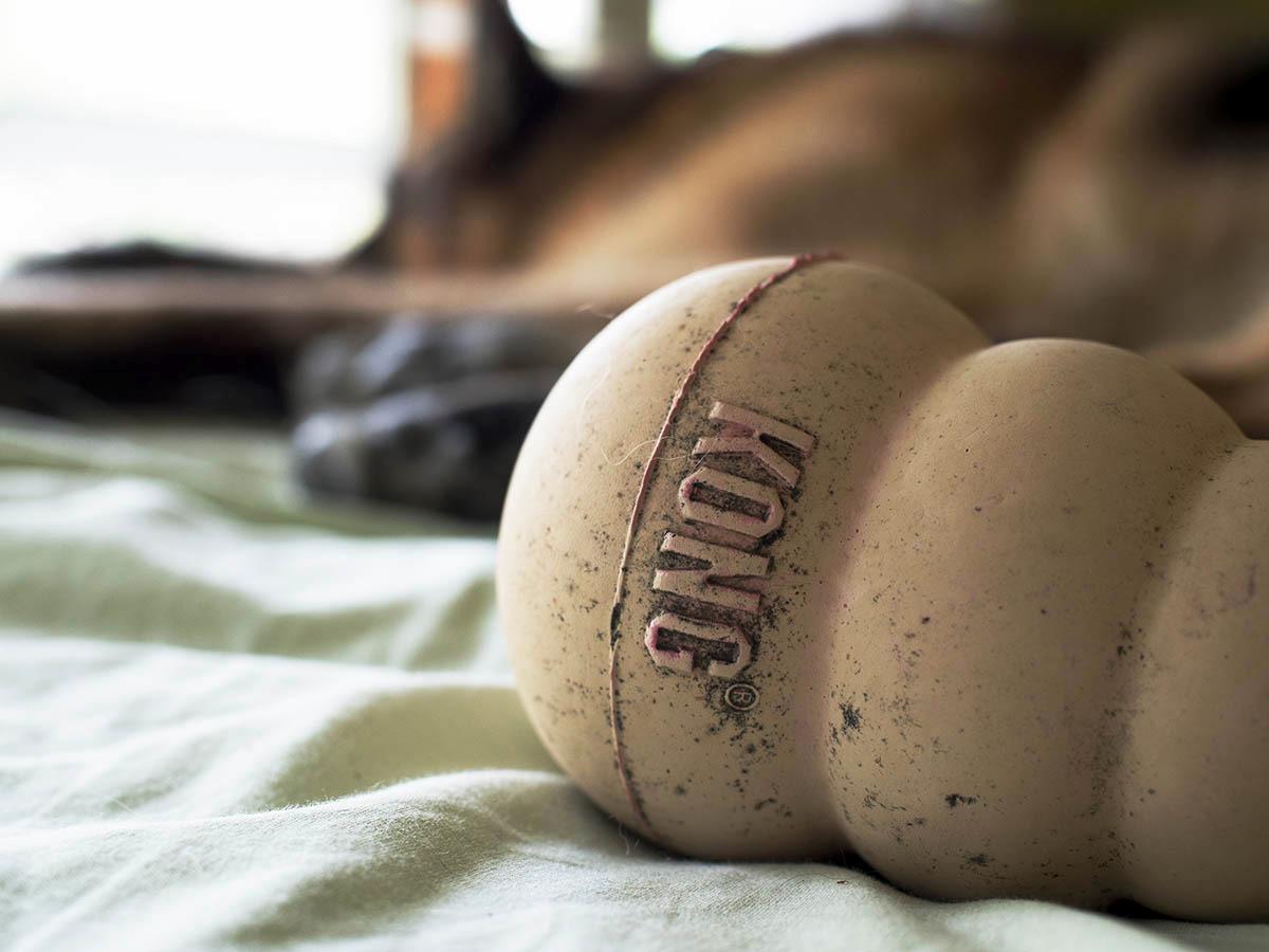 OM SYSTEM Olympus M.Zuiko Digital 45mm F1.8 Black for Micro Four Thirds System Camera, Compact Design, Beautiful Bokeh, Bright - Customer Photo 1