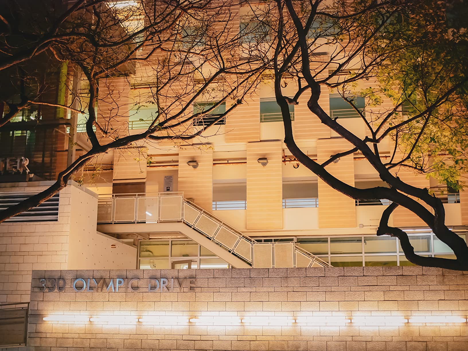 OM SYSTEM Olympus M.Zuiko Digital 25mm F1.8 Silver for Micro Four Thirds System Camera, Compact Design, Beautiful Bokeh, Bright - Customer Photo 1