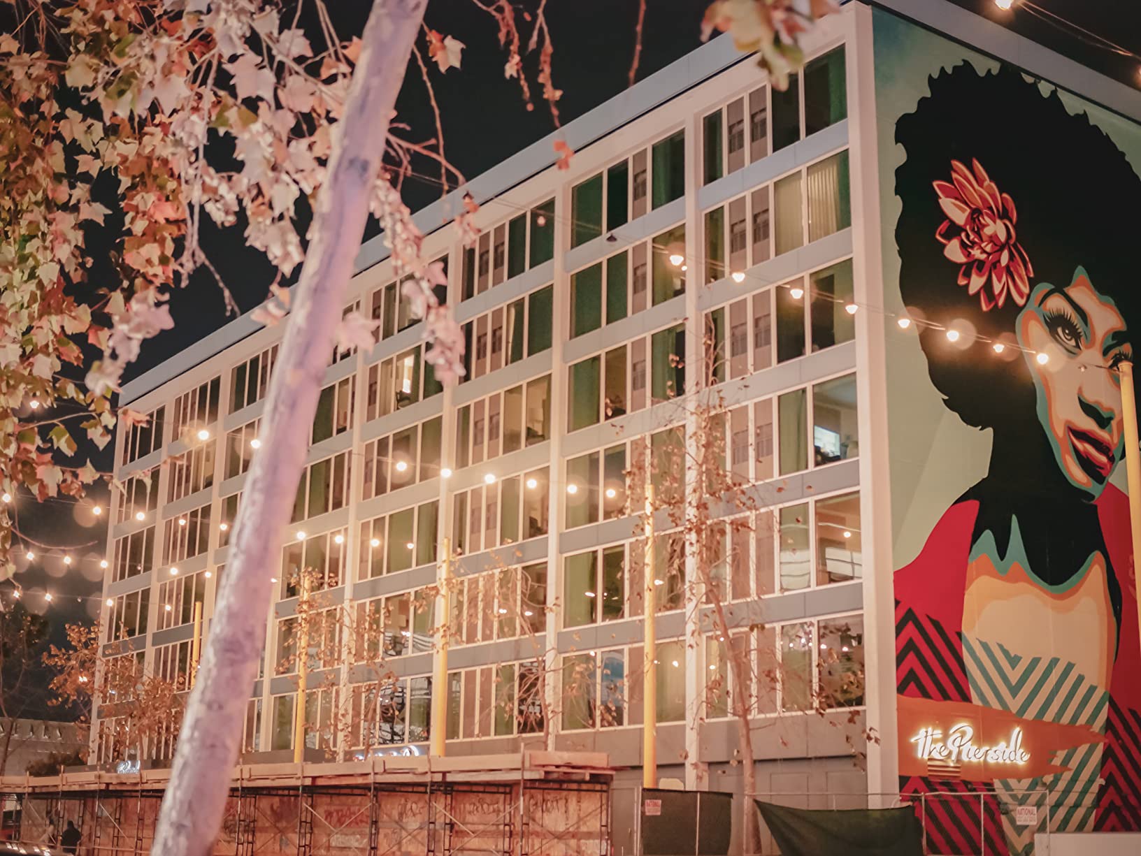 OM SYSTEM Olympus M.Zuiko Digital 25mm F1.8 Silver for Micro Four Thirds System Camera, Compact Design, Beautiful Bokeh, Bright - Customer Photo 2