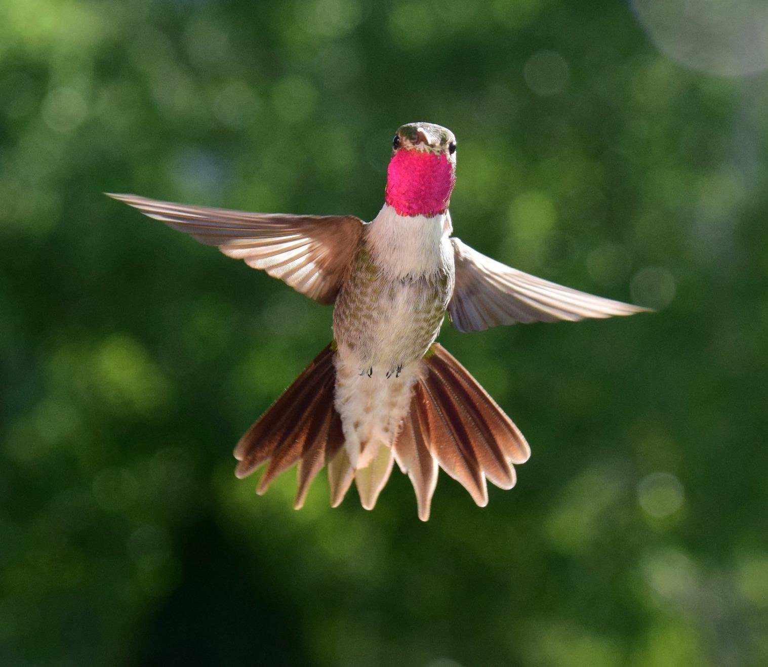 Nikon AF-S DX NIKKOR 18-300mm f/3.5-6.3G ED Vibration Reduction Zoom Lens with Auto Focus for Nikon DSLR Cameras Customer Review Nikon AF-S DX NIKKOR 18-300mm f/3.5-6.3G ED Vibration Reduction Zoom Lens with Auto Focus for Nikon DSLR Cameras - Customer Photo 1