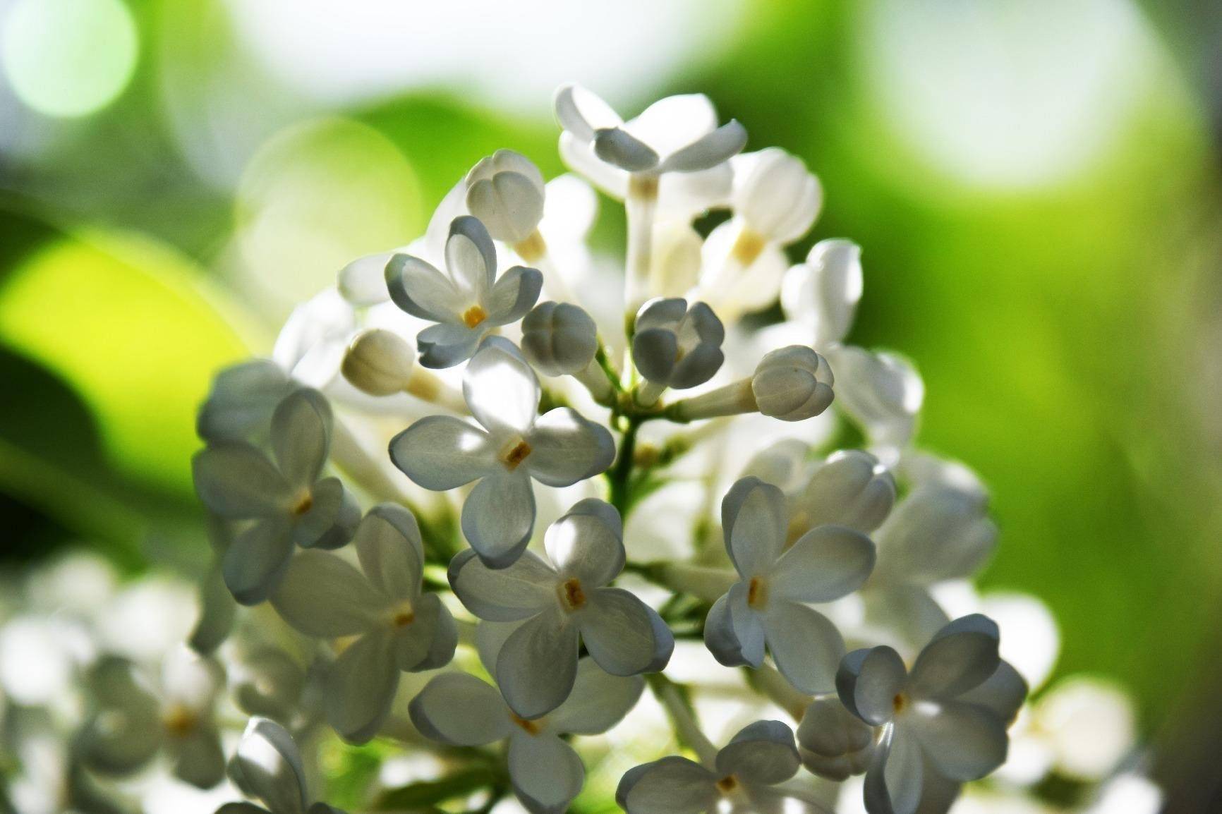 Nikon AF-S DX NIKKOR 18-300mm f/3.5-6.3G ED Vibration Reduction Zoom Lens with Auto Focus for Nikon DSLR Cameras Customer Review Nikon AF-S DX NIKKOR 18-300mm f/3.5-6.3G ED Vibration Reduction Zoom Lens with Auto Focus for Nikon DSLR Cameras - Customer Photo 2