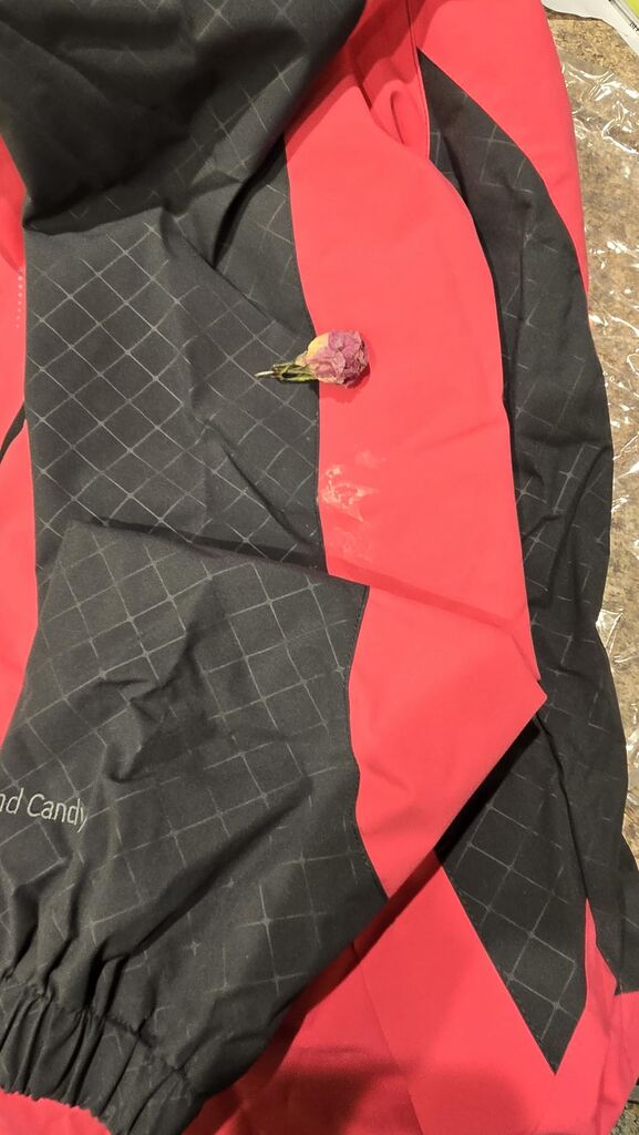 Diamond Candy Women's Waterproof Rain Jacket with Hood Lightweight Outdoors Raincoat - Customer Photo 4