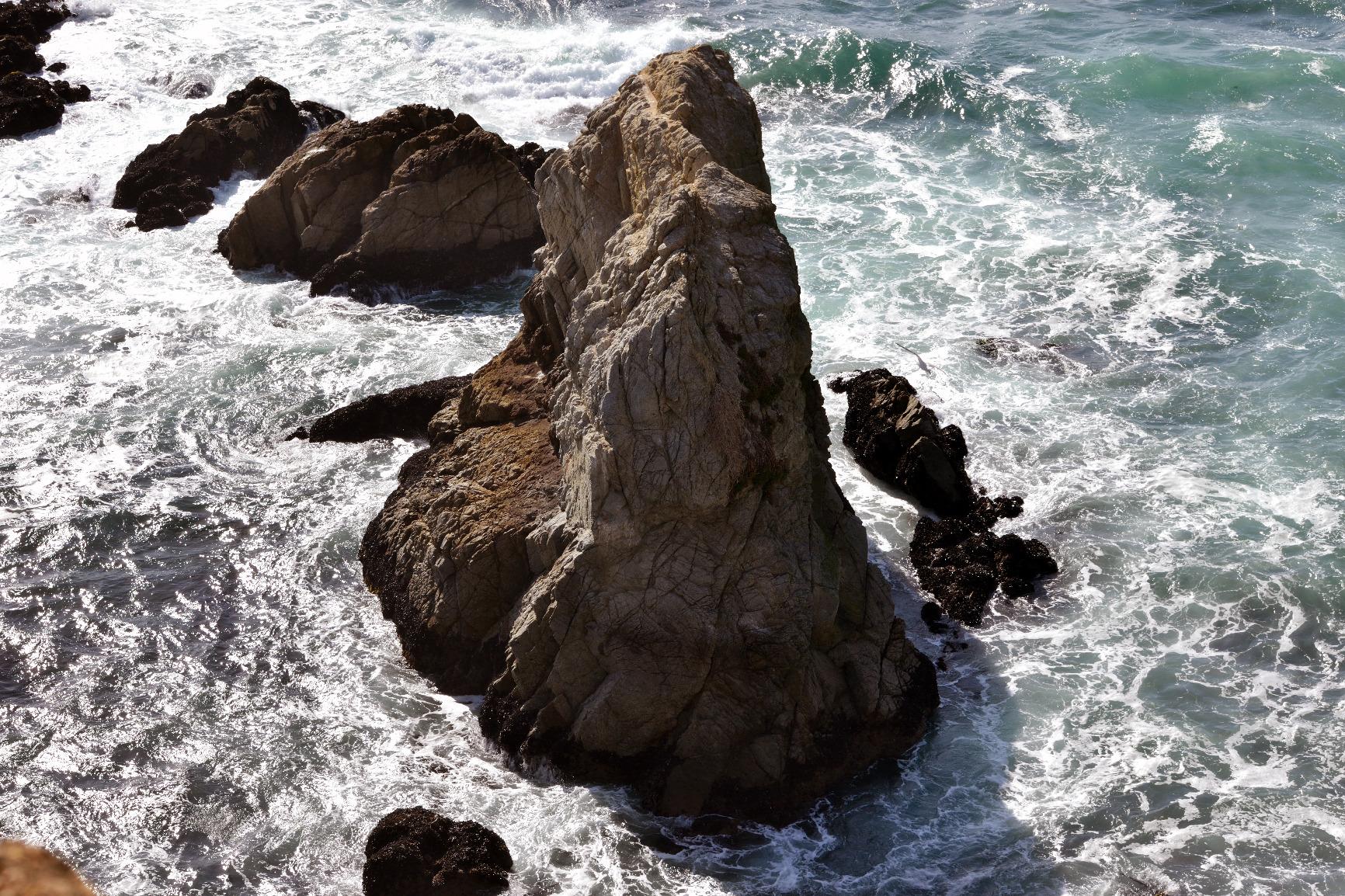 Nikon AF-S DX NIKKOR 55-300mm f/4.5-5.6G ED Vibration Reduction Zoom Lens with Auto Focus for Nikon DSLR Cameras Customer Review Nikon AF-S DX NIKKOR 55-300mm f/4.5-5.6G ED Vibration Reduction Zoom Lens with Auto Focus for Nikon DSLR Cameras - Customer Photo 1