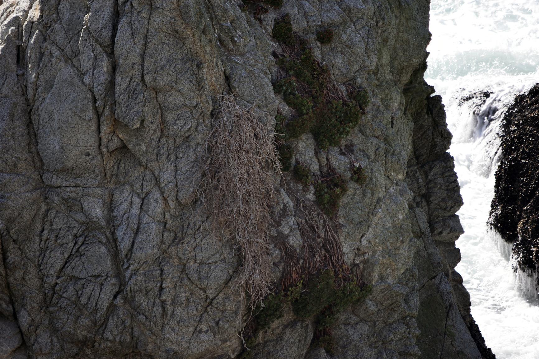 Nikon AF-S DX NIKKOR 55-300mm f/4.5-5.6G ED Vibration Reduction Zoom Lens with Auto Focus for Nikon DSLR Cameras Customer Review Nikon AF-S DX NIKKOR 55-300mm f/4.5-5.6G ED Vibration Reduction Zoom Lens with Auto Focus for Nikon DSLR Cameras - Customer Photo 2