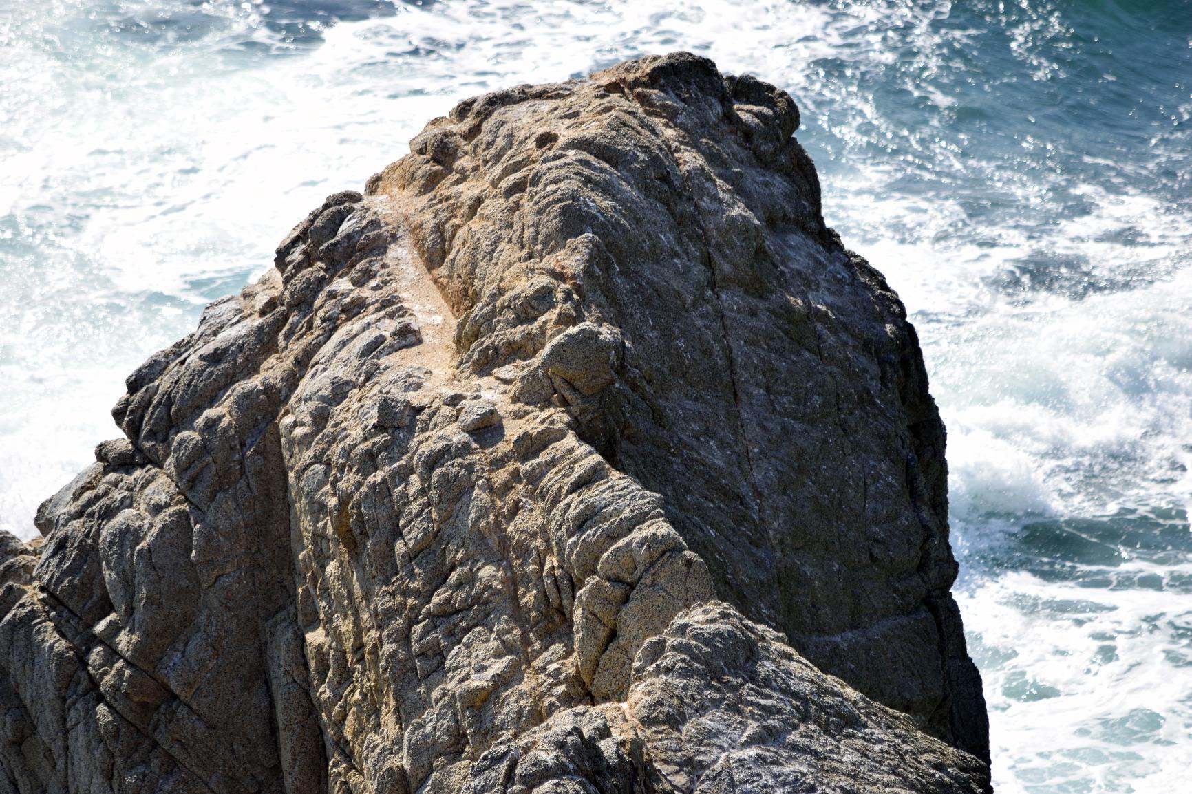 Nikon AF-S DX NIKKOR 55-300mm f/4.5-5.6G ED Vibration Reduction Zoom Lens - Customer Photo 3