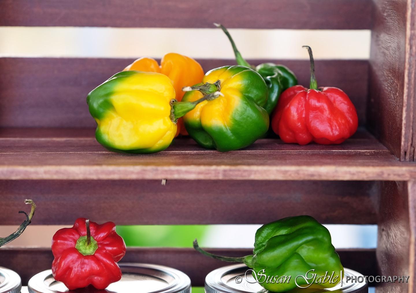 Fujifilm XF16-55mmF2.8 R LM WR - Customer Photo 2