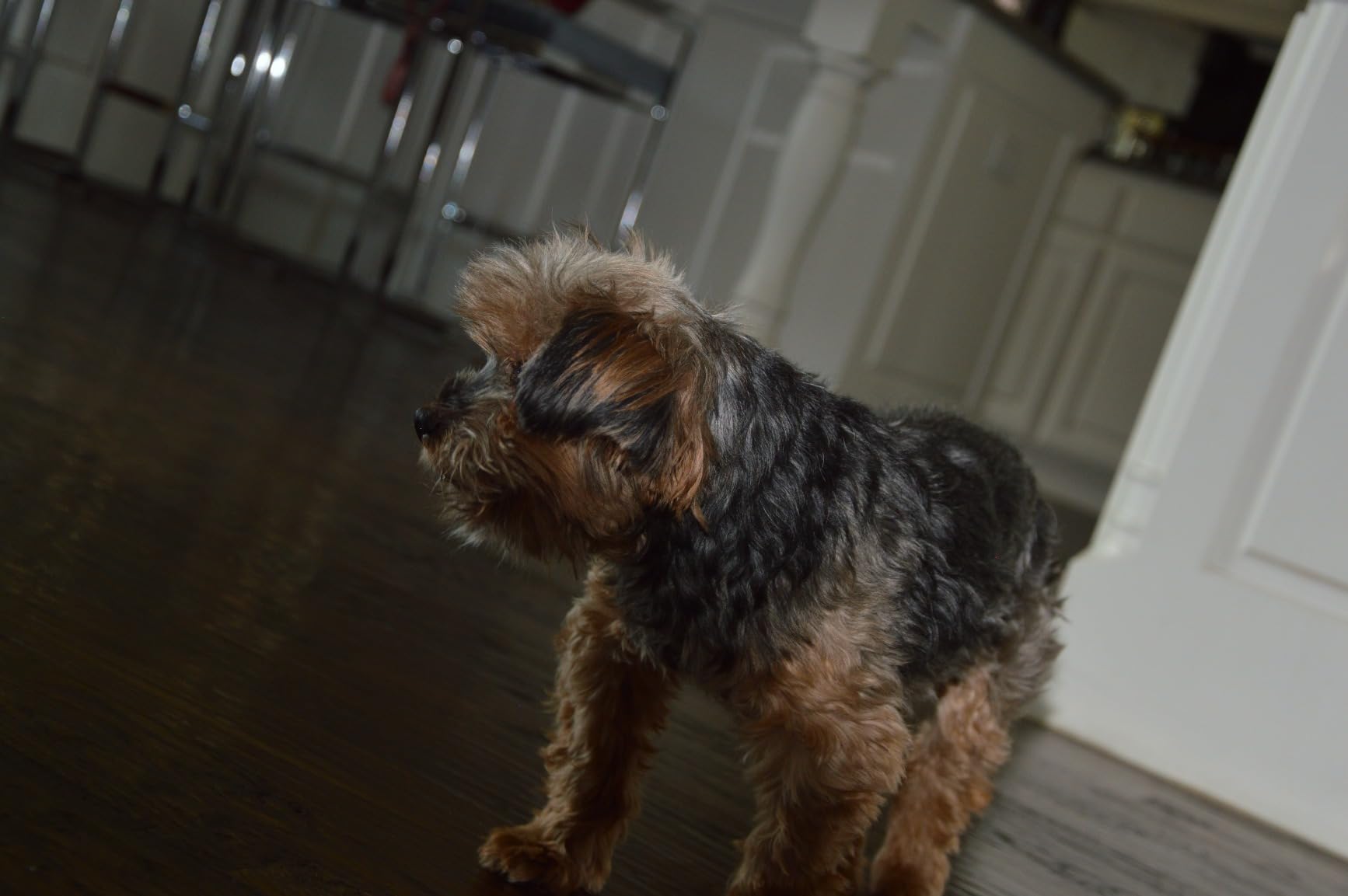 Nikon 18-105mm f/3.5-5.6 AF-S DX VR ED Nikkor Lens for Nikon Digital SLR Cameras (Renewed) Customer Review Nikon 18-105mm f/3.5-5.6 AF-S DX VR ED Nikkor Lens for Nikon Digital SLR Cameras (Renewed) - Customer Photo 3