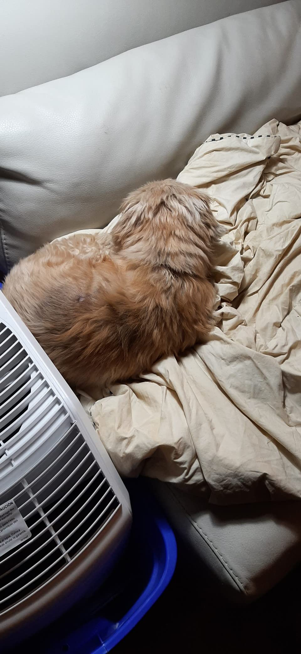 AIRCARE Space Saver Large Evaporative Whole House Commercial 6 Gallon Humidifier for Large Rooms 2,700 sq ft. With Digital Controls, Auto Humidistat and Automatic Shut Off - Customer Photo 1