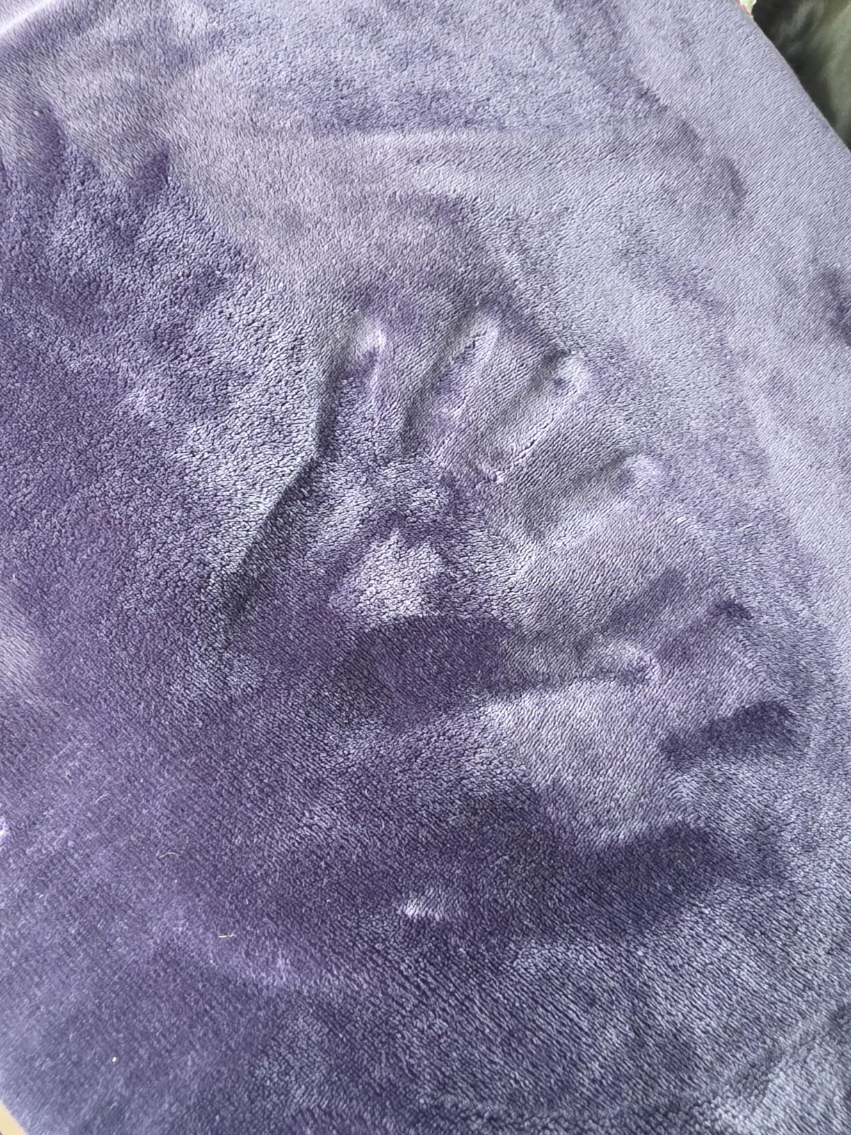 Bedsure GentleSoft Fleece Blanket Twin Size Grey - 300GSM Lightweight Plush Fuzzy Cozy Soft Warm Blanket for Bed, Sofa, Couch, Travel, Camping, 60x80 inches - Customer Photo 2