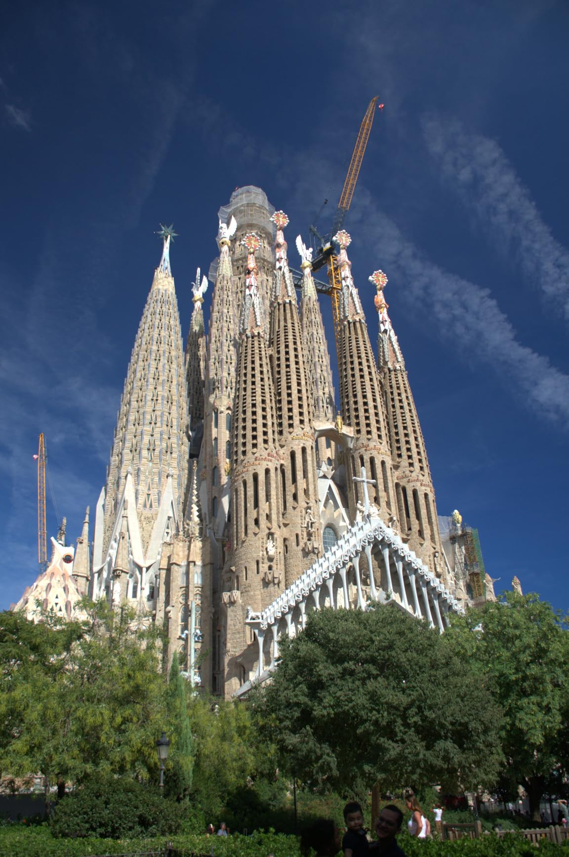 Nikon AF-S DX NIKKOR 18-140mm f/3.5-5.6G ED Vibration Reduction Zoom Lens with Auto Focus for Nikon DSLR Cameras (Renewed) - Customer Photo 3