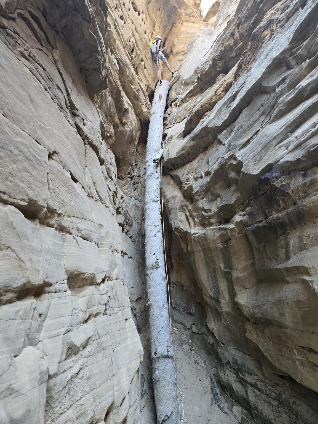 Black Diamond Super 8 Belay Rappel Device, Yellow - Customer Photo 3