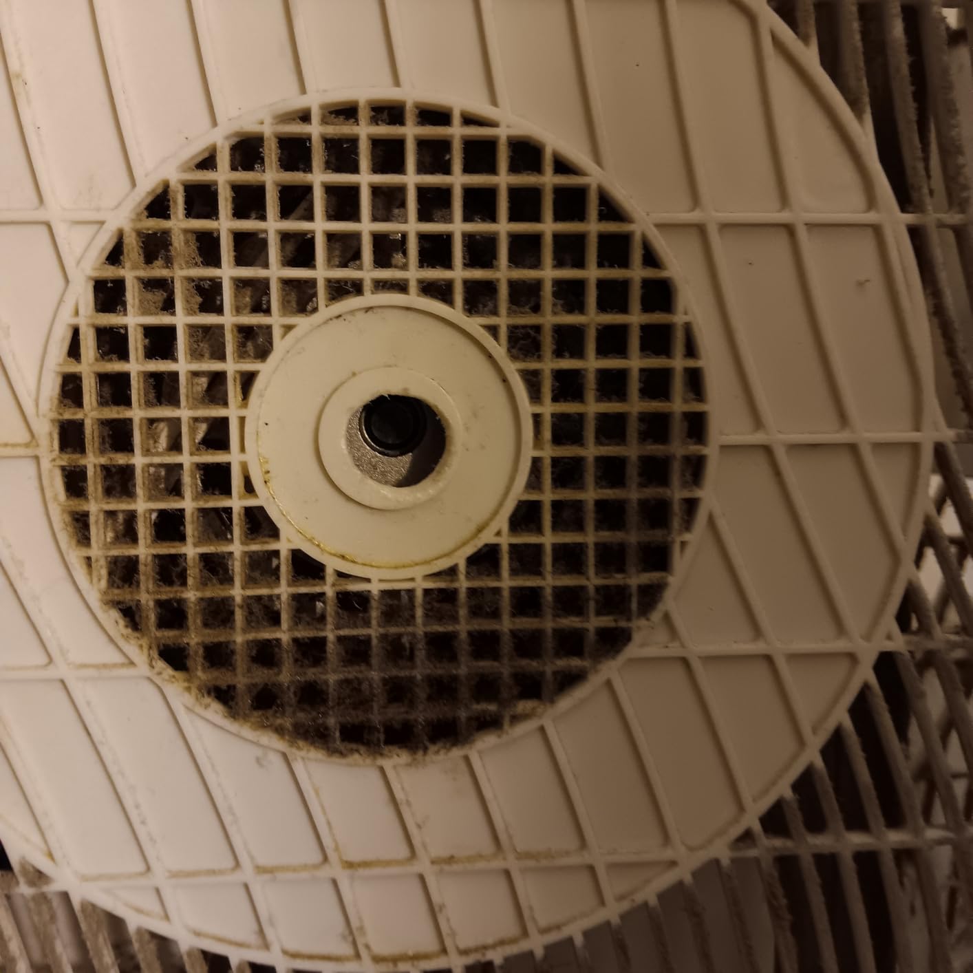 Comfort Zone Box Fan with Carry Handle, 20 inch, 3 Speed Full-Force Air Circulation Window Fan, Bedroom Floor Fan with 5 Blades, White Noise Cooling Fan, White - Customer Photo 1