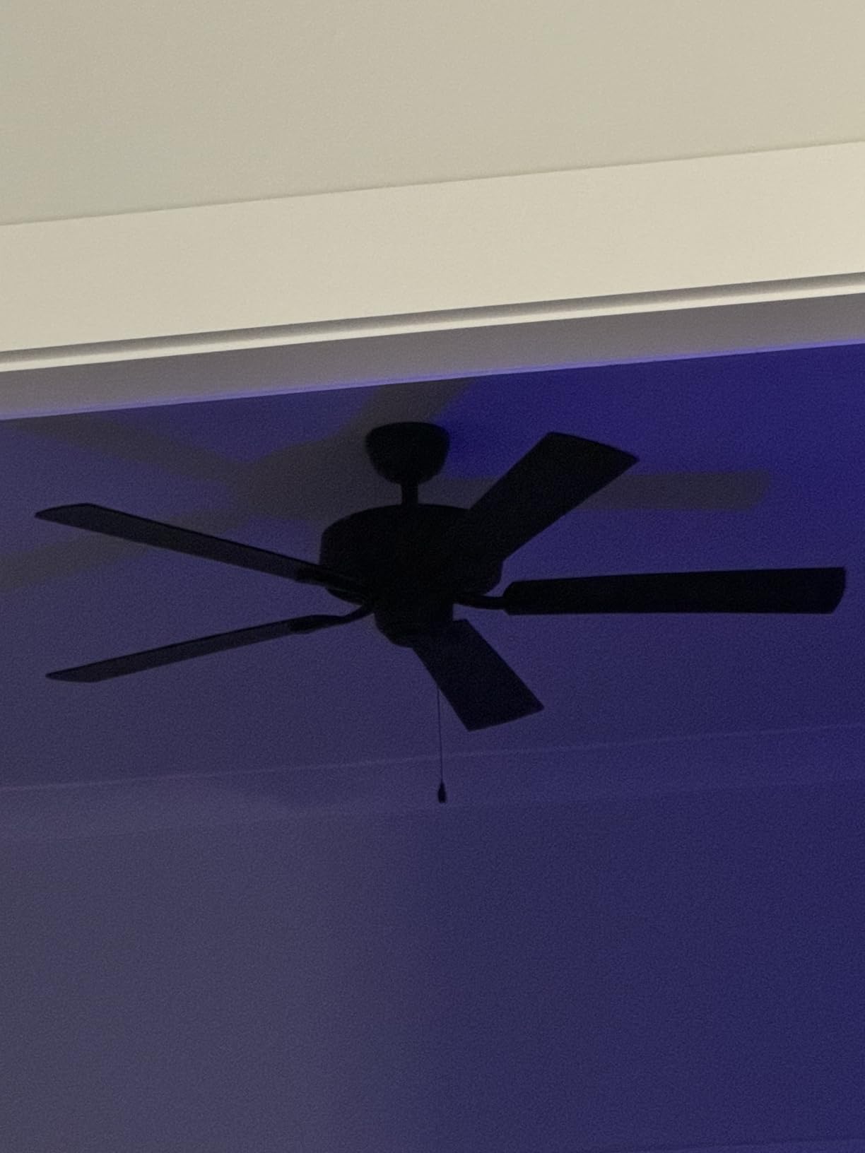Hunter 52 inch Outdoor or Indoor Ceiling Fan No Light with Pull Chain - Black Ceiling Fan without Light, Standard Mount, 5 Blades, For Patio, Porch, Living Room - Builder Elite 53294, Matte Black - Customer Photo 3
