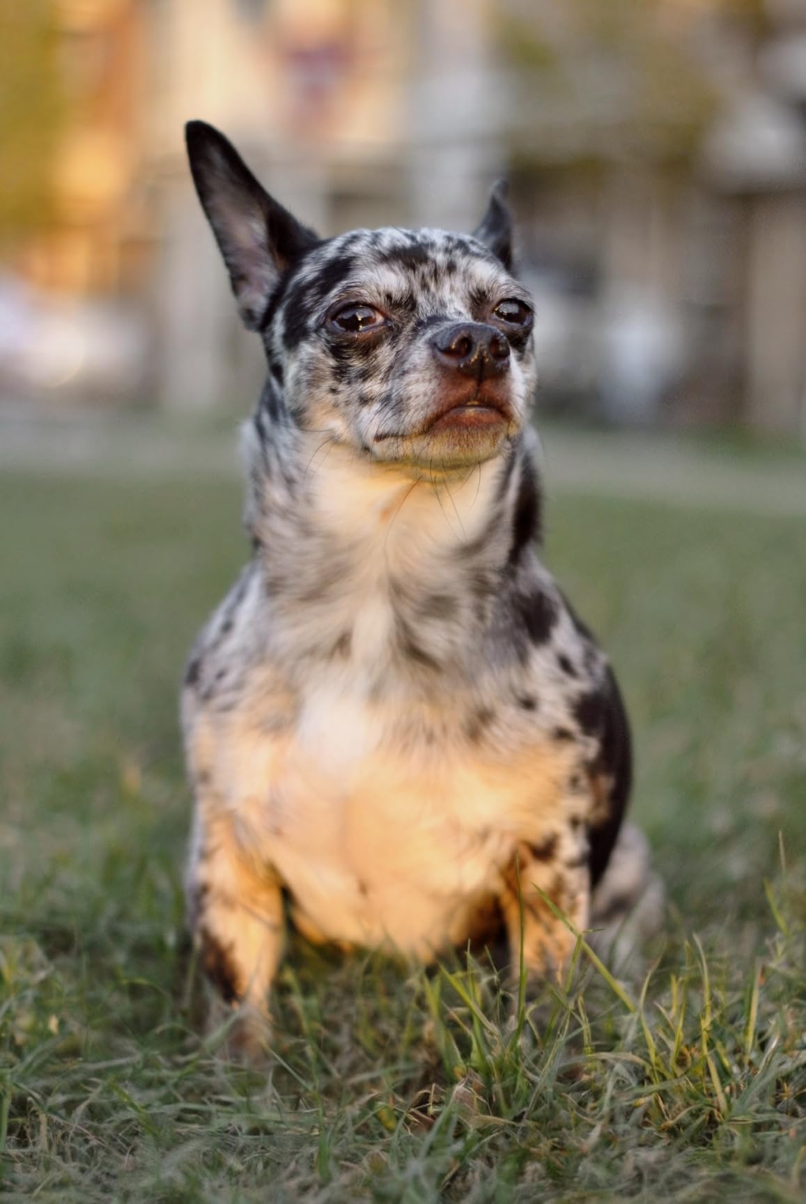 YONGNUO YN50mm F1.8N Standard Prime Lens, Large Aperture Auto Manual Focus AF MF for Nikon DSLR Cameras Customer Review YONGNUO YN50mm F1.8N Standard Prime Lens, Large Aperture Auto Manual Focus AF MF for Nikon DSLR Cameras - Customer Photo 2