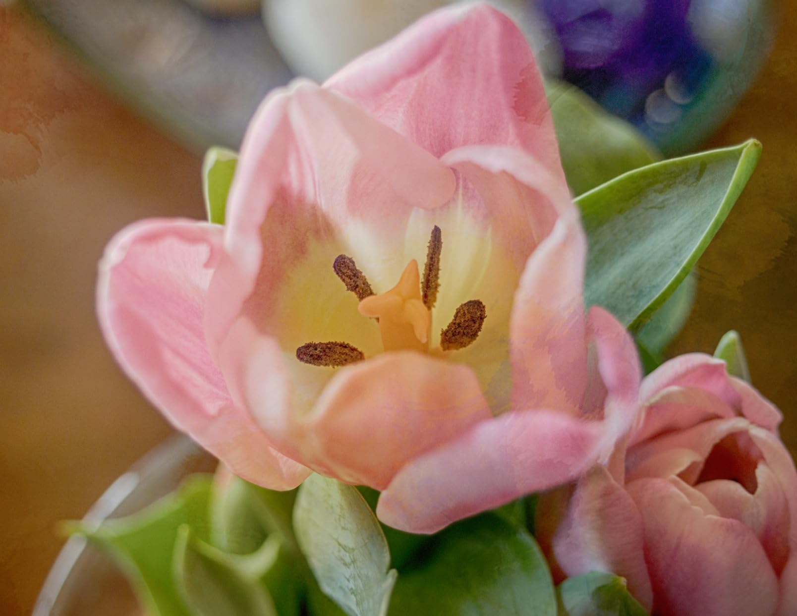 OM SYSTEM Olympus M.Zuiko Digital ED 30mm F3.5 Macro for Micro Four Thirds System Camera, Compact Macro Lens, 1.25x Image Maginification, Fast AF, Beautiful Bokeh - Customer Photo 1