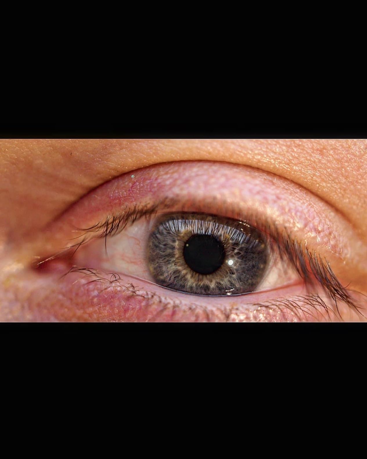 OM SYSTEM Olympus M.Zuiko Digital ED 30mm F3.5 Macro for Micro Four Thirds System Camera, Compact Macro Lens, 1.25x Image Maginification, Fast AF, Beautiful Bokeh - Customer Photo 2