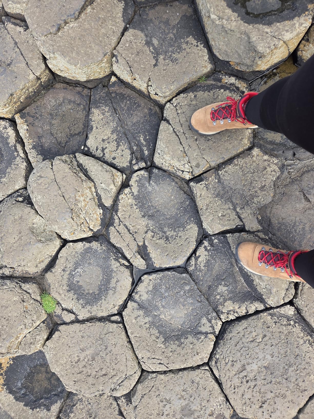 Columbia Women's Newton Ridge Plus Waterproof Amped Hiking Boot - Customer Photo 2