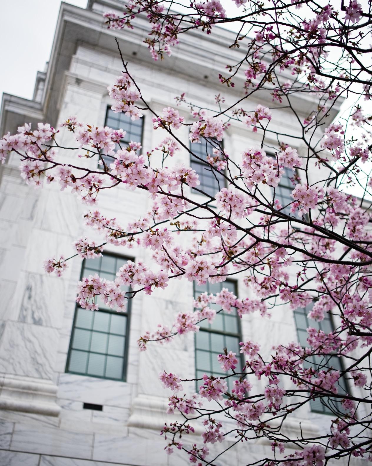 Fujifilm Fujinon XF23mmF2 R WR - Black - Customer Photo 1