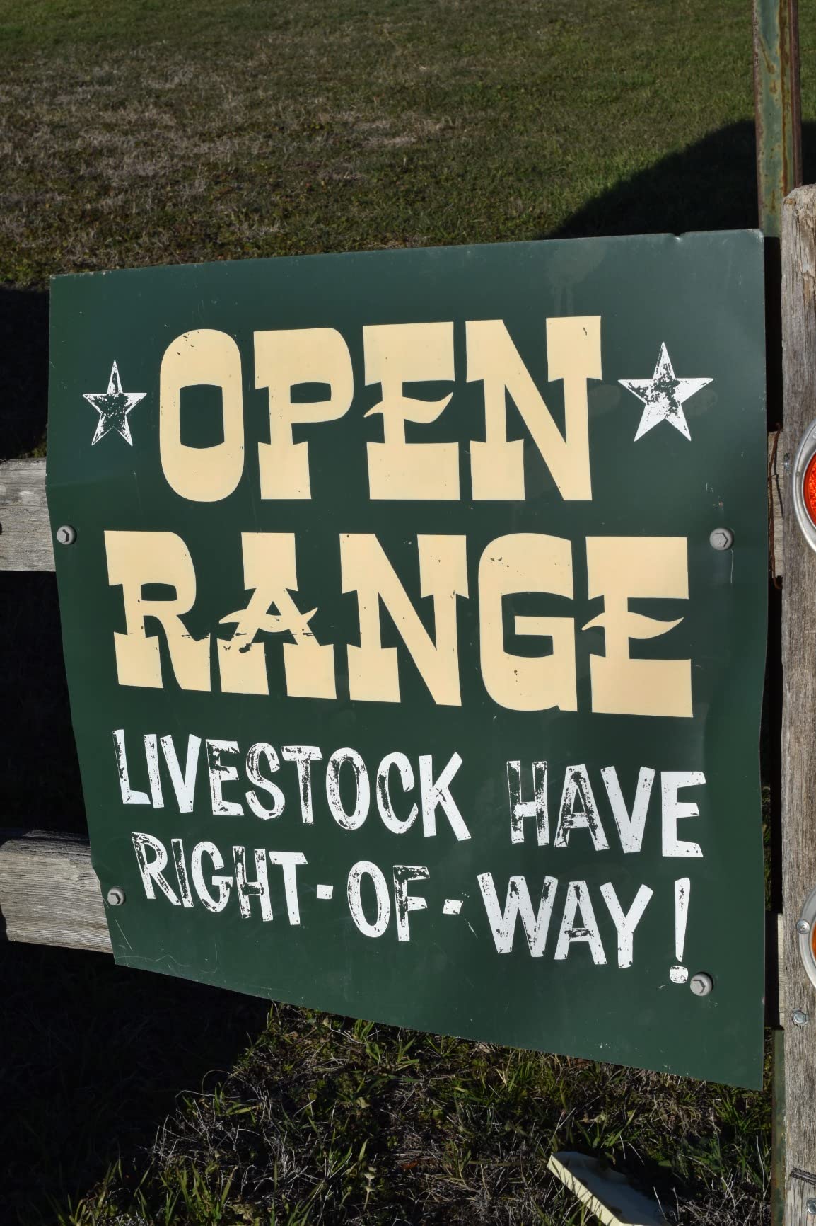 YONGNUO YN35mm F2N Lens, 1:2 AF MF Wide-Angle Fixed Prime Auto Focus Lens for Nikon DSLR Cameras - Customer Photo 2