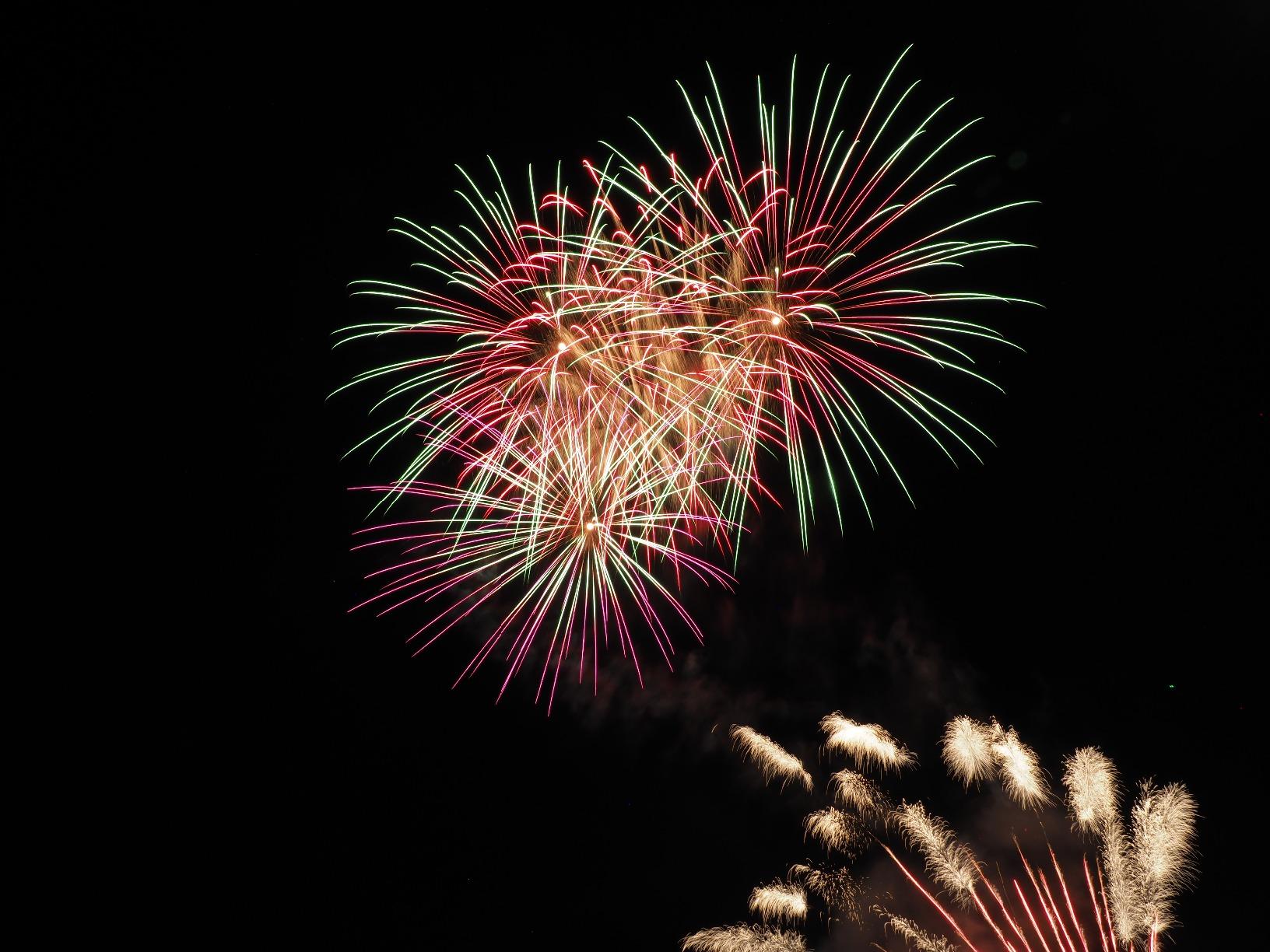 Olympus M.Zuiko Digital ED 12-100mm F4.0 is PRO for Micro Four Thirds System Camera, High Magnification Zoom Lens, Weather Sealed Design, MF Clutch, L-Fn Button - Customer Photo 2