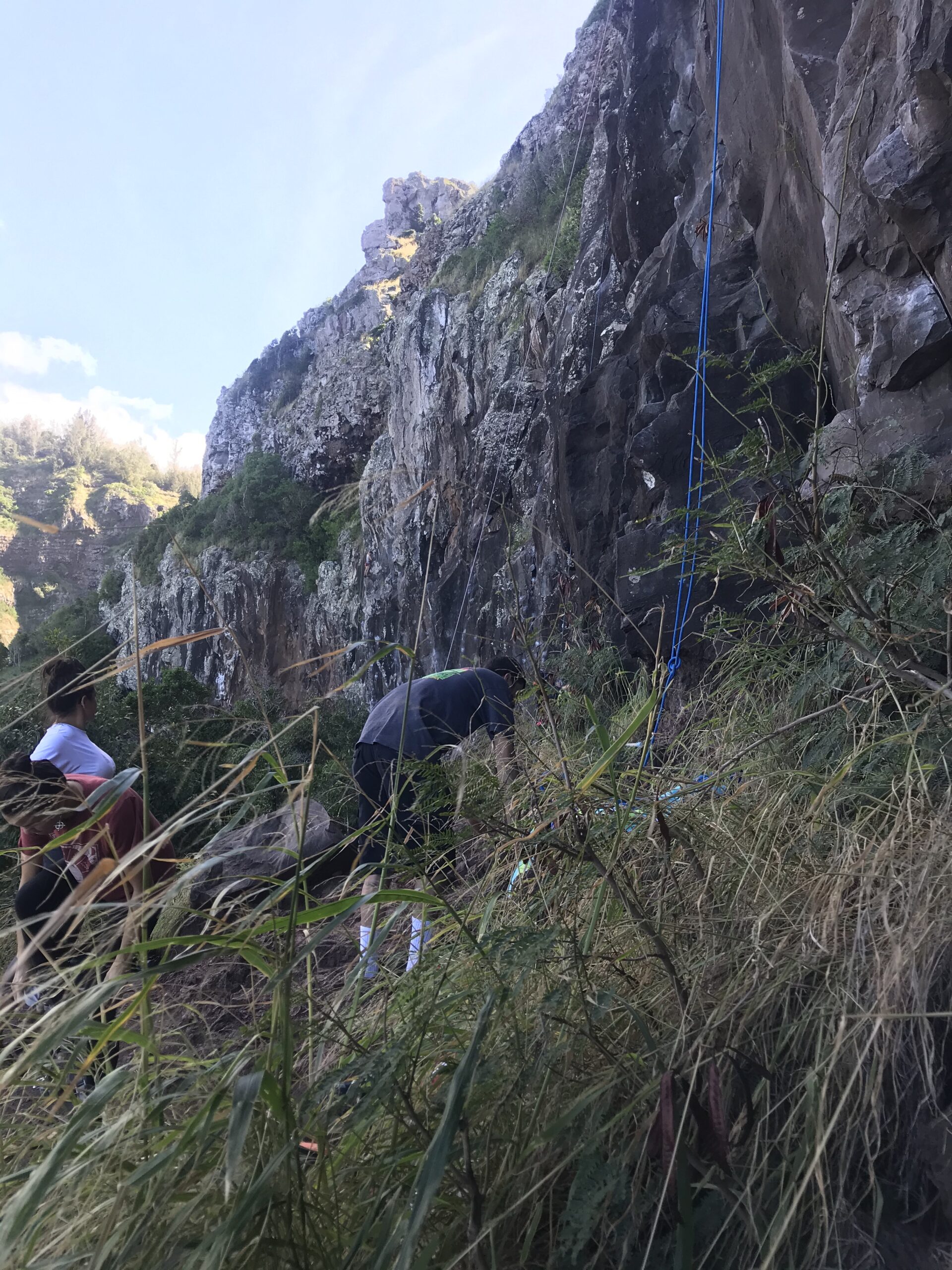 BLACK DIAMOND 9.9 mm Dynamic Rock Climbing Rope - Customer Photo 1