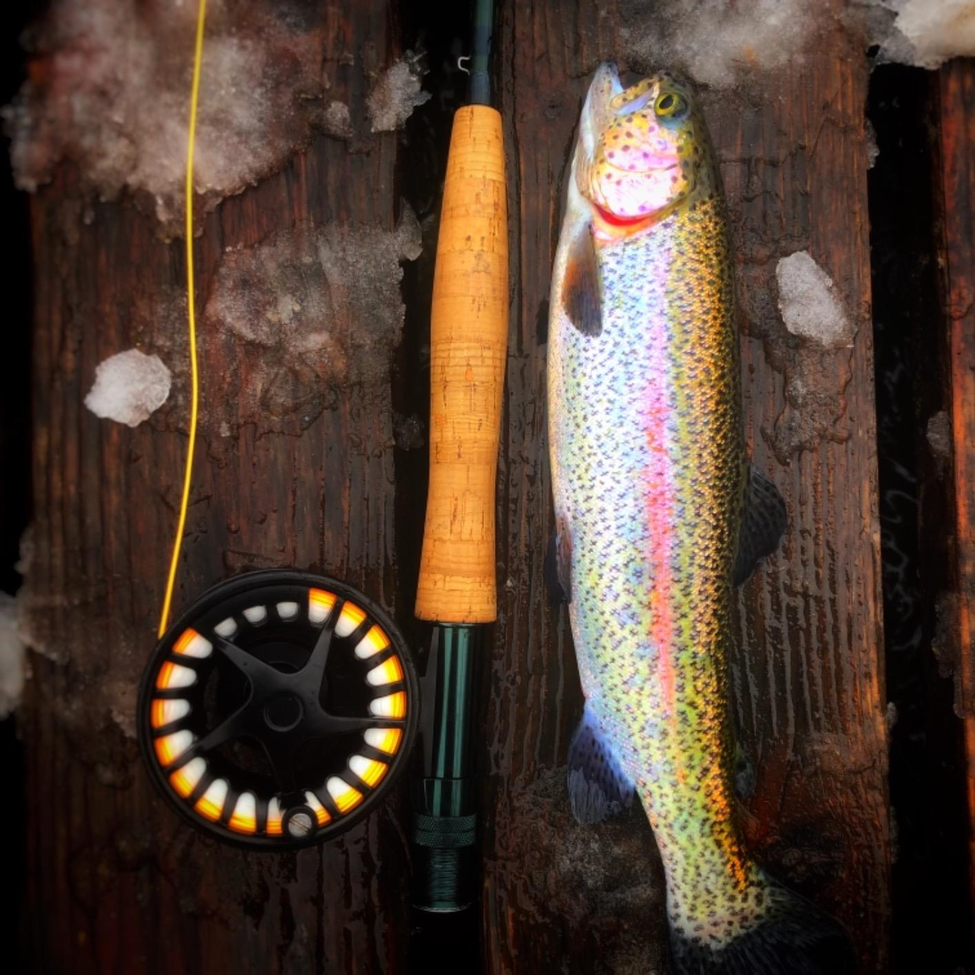 Maxcatch 3-12wt Medium-Fast Action Premier Fly Fishing Rod-IM8 Carbon Blank for High Performance,with AA Cork Grip Hard Chromed Guides - Customer Photo 1