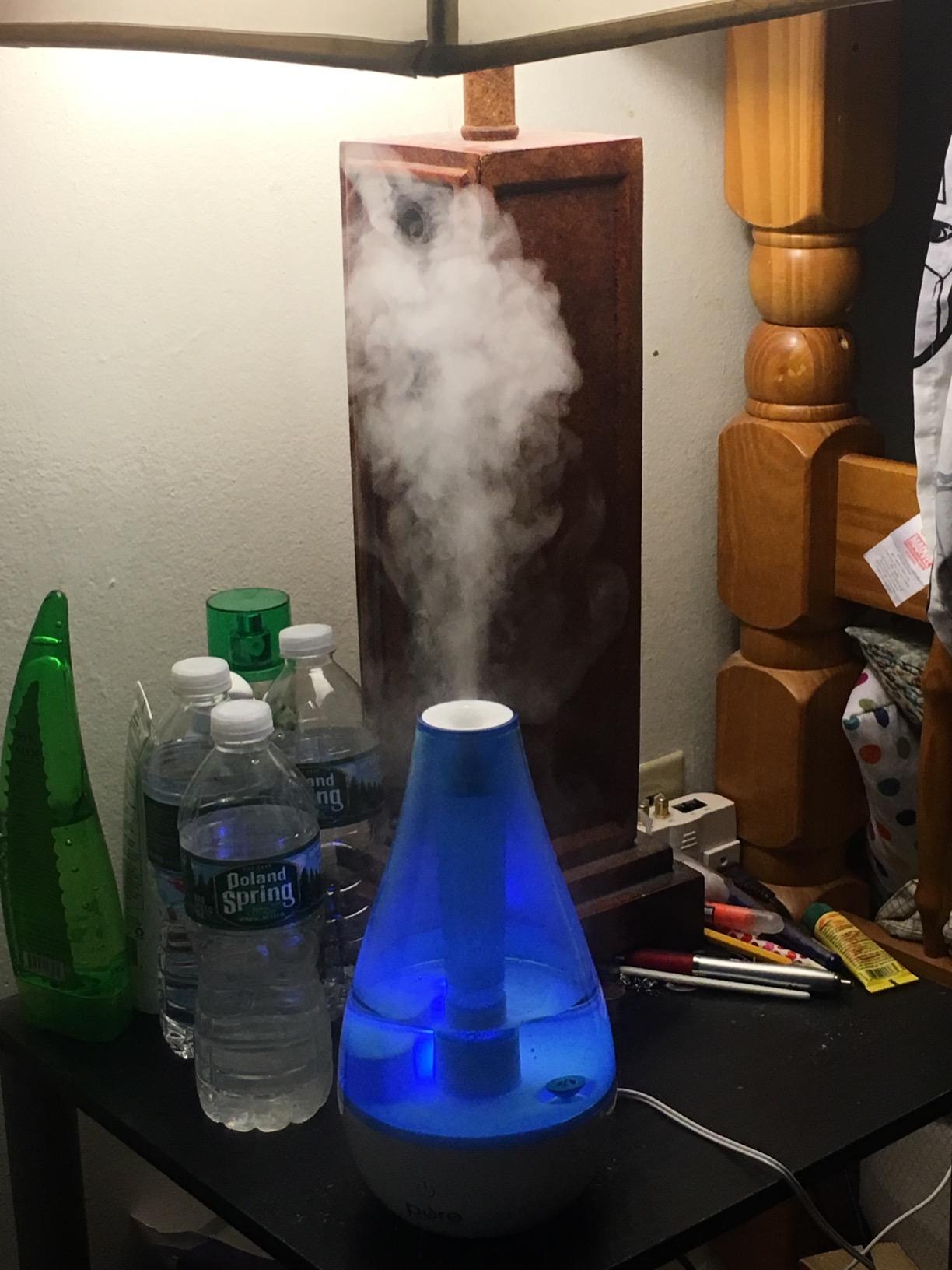 Pure Enrichment MistAire Studio Ultrasonic Cool Mist Humidifier - Small & Compact, Overnight Operation, 2 Mist Settings, Optional Night Light, & Auto Shut-Off - For Offices, Plants & Small Spaces - Customer Photo 2