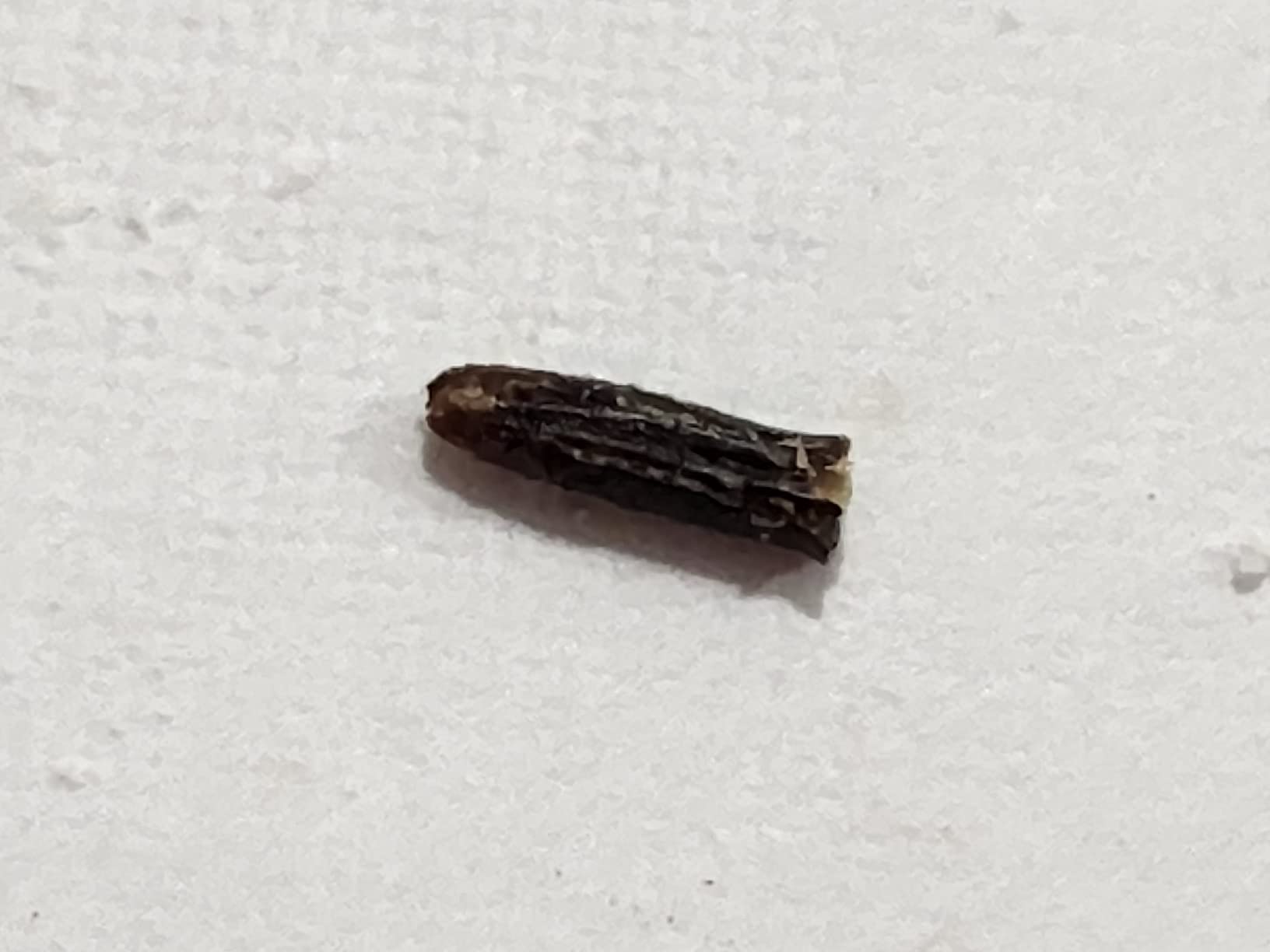 Raw Grass Fed Whey Protein Powder – Unflavored, Only 1 Ingredient: 100% Pure Grass-Fed Whey from Happy, Healthy Cows – Undenatured, Non-GMO, Hormone-Free, Gluten-Free, Made in USA, 5LB - Customer Photo 2