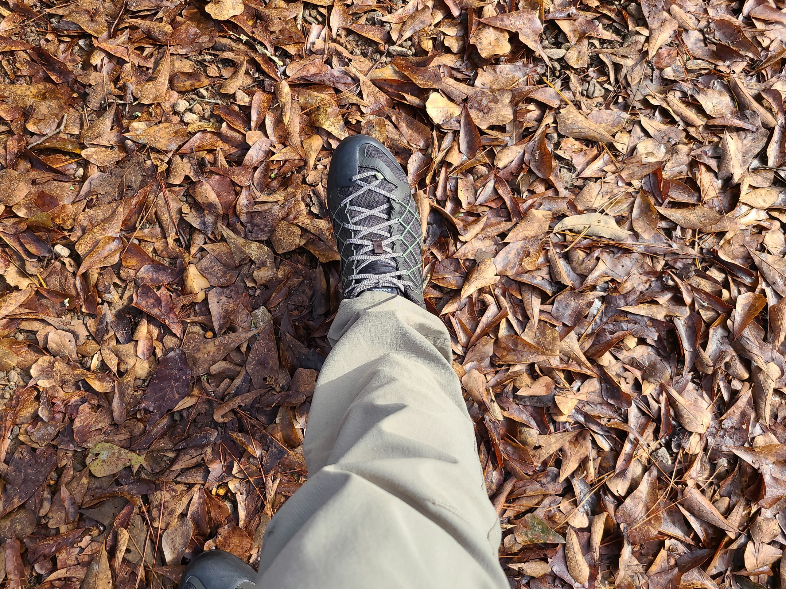 Salewa Men's Wildfire GTX Approach Shoe - Durable, Waterproof Gore-Tex Trail Shoe for Hiking & Climbing - Customer Photo 2