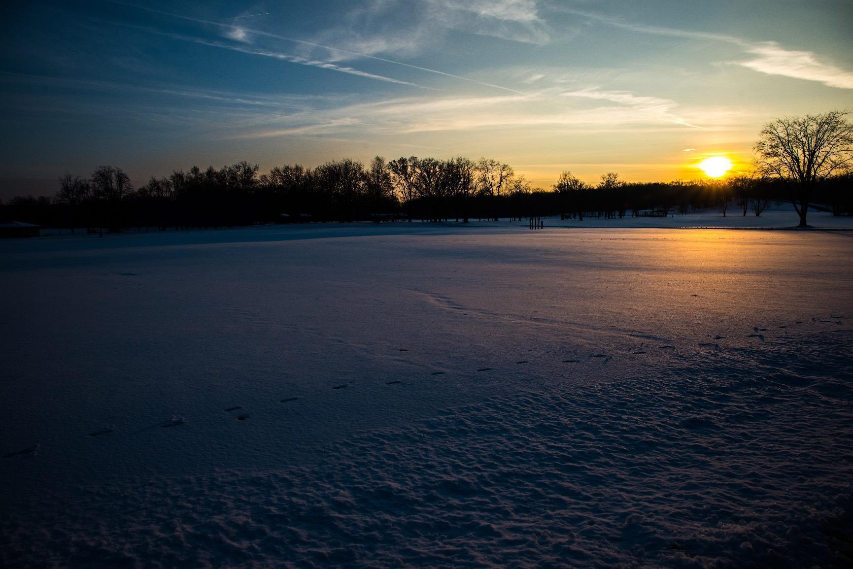 Sigma 24-70mm f/2.8 DG OS HSM Art Lens for Nikon F - Customer Photo 2