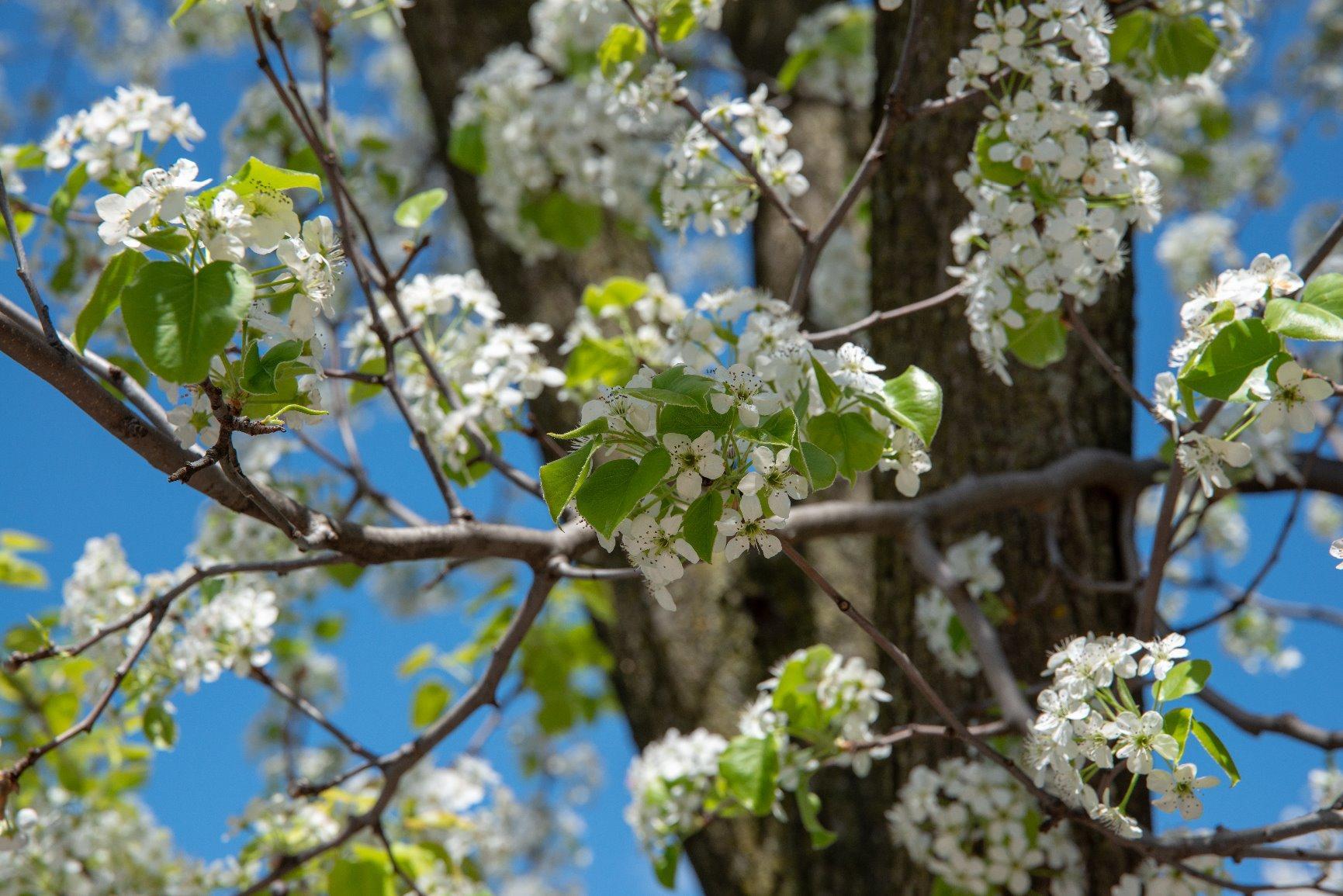 Sigma 24-70mm f/2.8 DG OS HSM Art Lens for Nikon F - Customer Photo 4