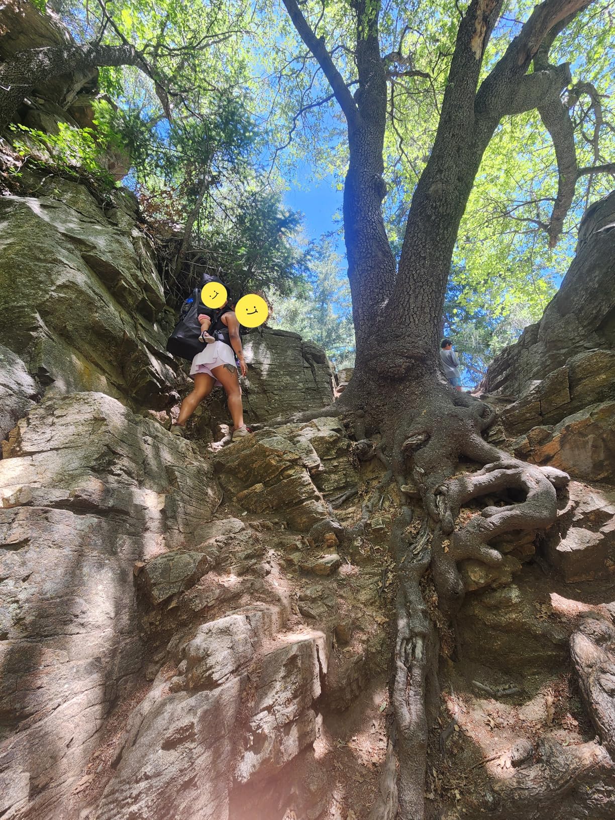 ClevrPlus Deluxe Adjustable Baby Carrier Outdoor Hiking Child Backpack Camping - Customer Photo 3