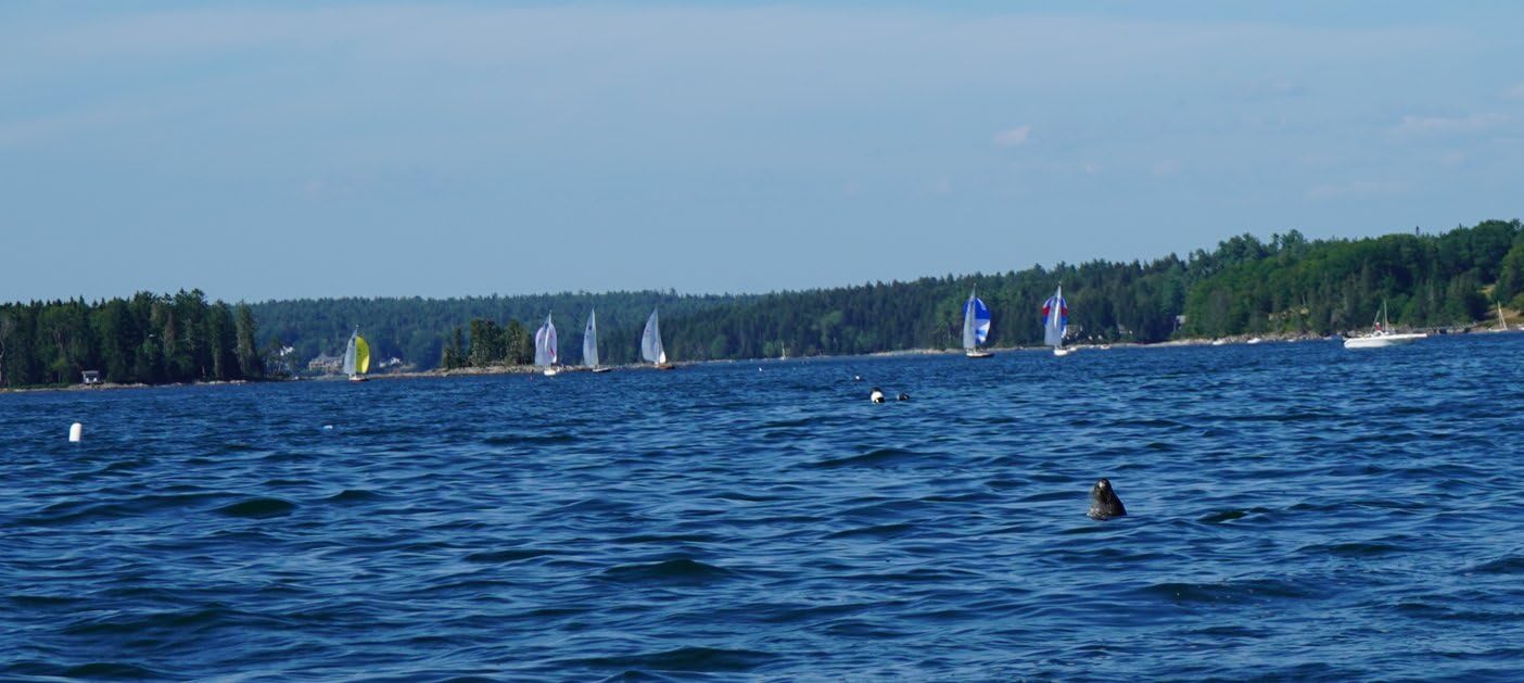 Sony a7 III (ILCEM3K/B) Full-frame Mirrorless Interchangeable-Lens Camera with 28-70mm Lens with 3-Inch LCD, Black - Customer Photo 1