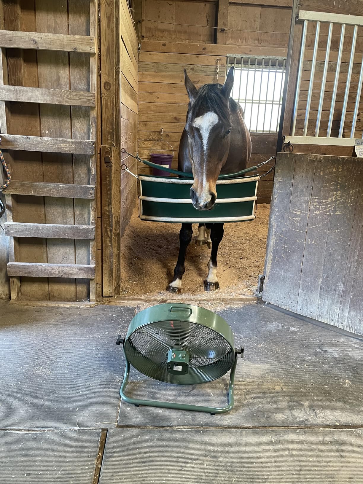 iLIVING 20 Inch Heavy Duty Floor & Wall Mount Fan - 5500 CFM High Velocity, 160-Watt, 3-Speed, Industrial Cooling for Garage, Workshop, Office, Home - UL Listed, Black - Customer Photo 3