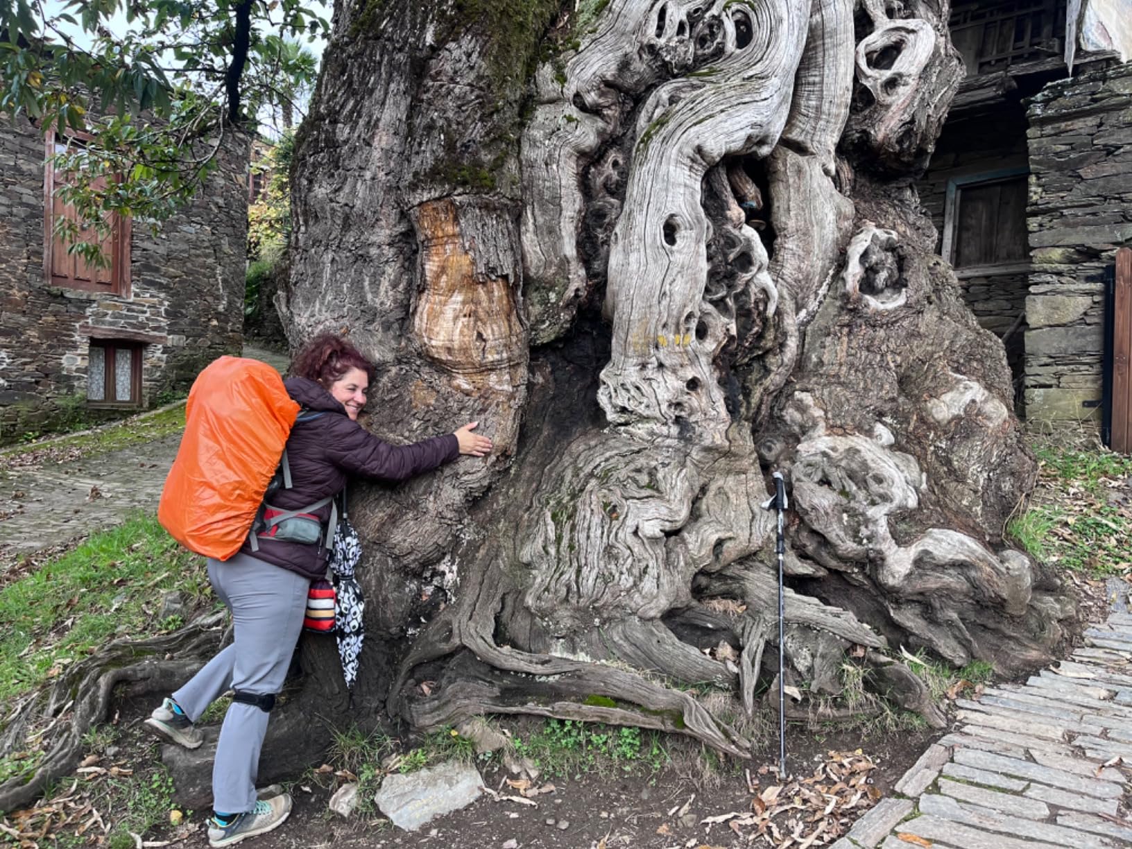 Loowoko 50L Hiking Backpack, Waterproof Camping Essentials Bag with Rain Cover, 45+5 Liter Lightweight Backpacking Back Pack - Customer Photo 2