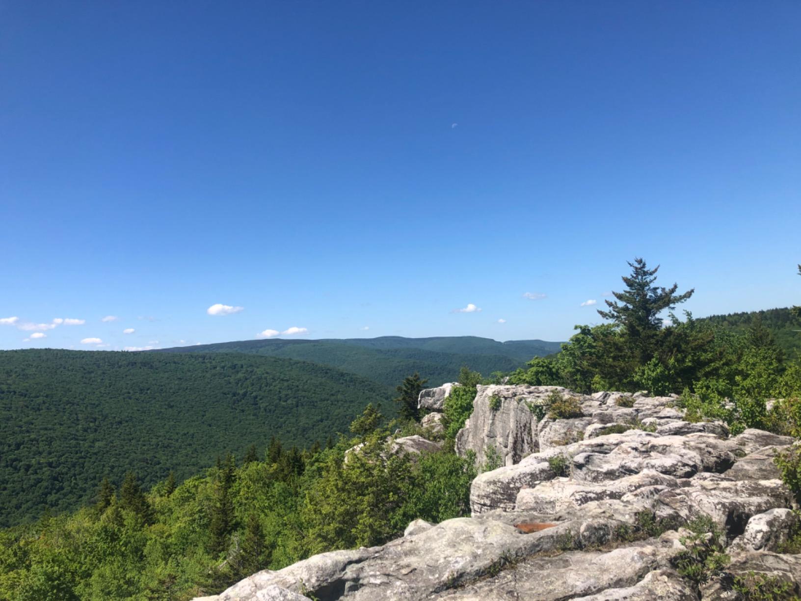 Backpacker's Pantry Granola with Blueberries Almonds & Milk - Freeze Dried Backpacking & Camping Food - Emergency Food - 16 Grams of Protein, Vegetarian - Customer Photo 2