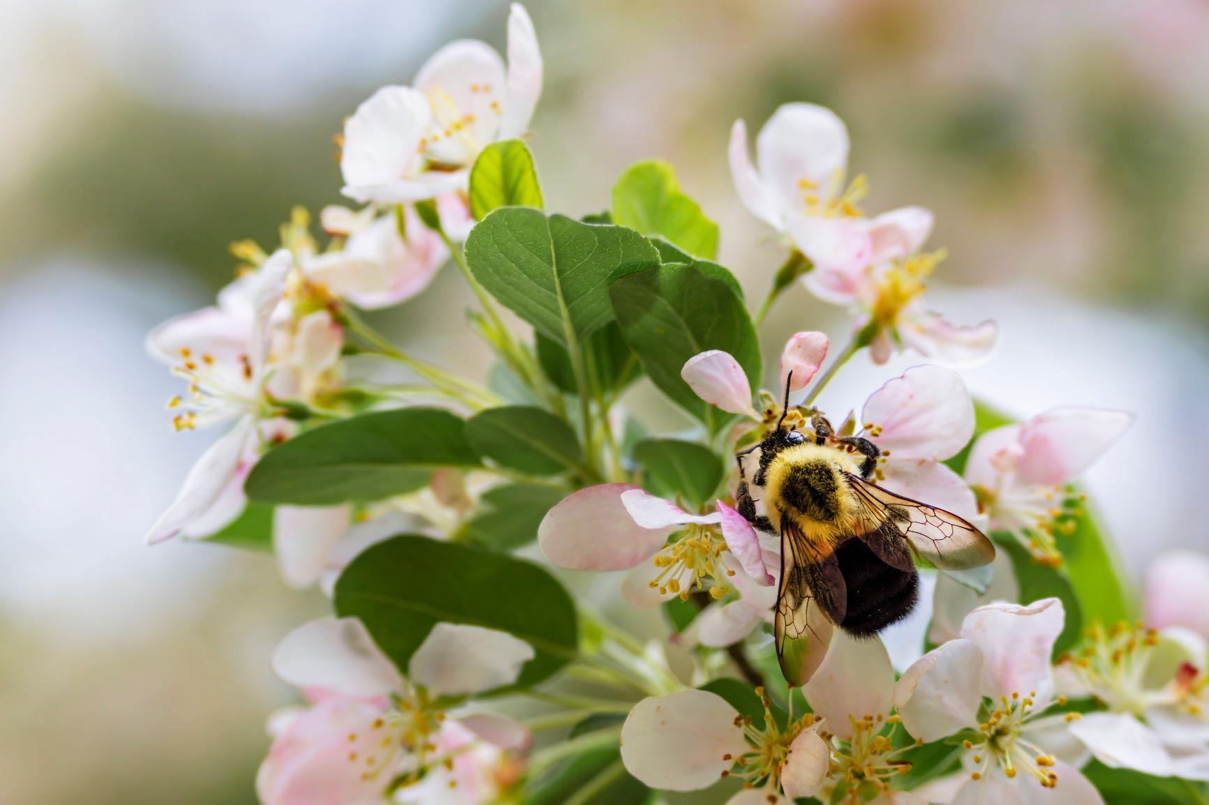 Sigma 60-600mm f/22-32 Fixed Zoom F4.5-6.3 DG OS HSM Camera Lenses, Black (730955), Nikon F - Customer Photo 3
