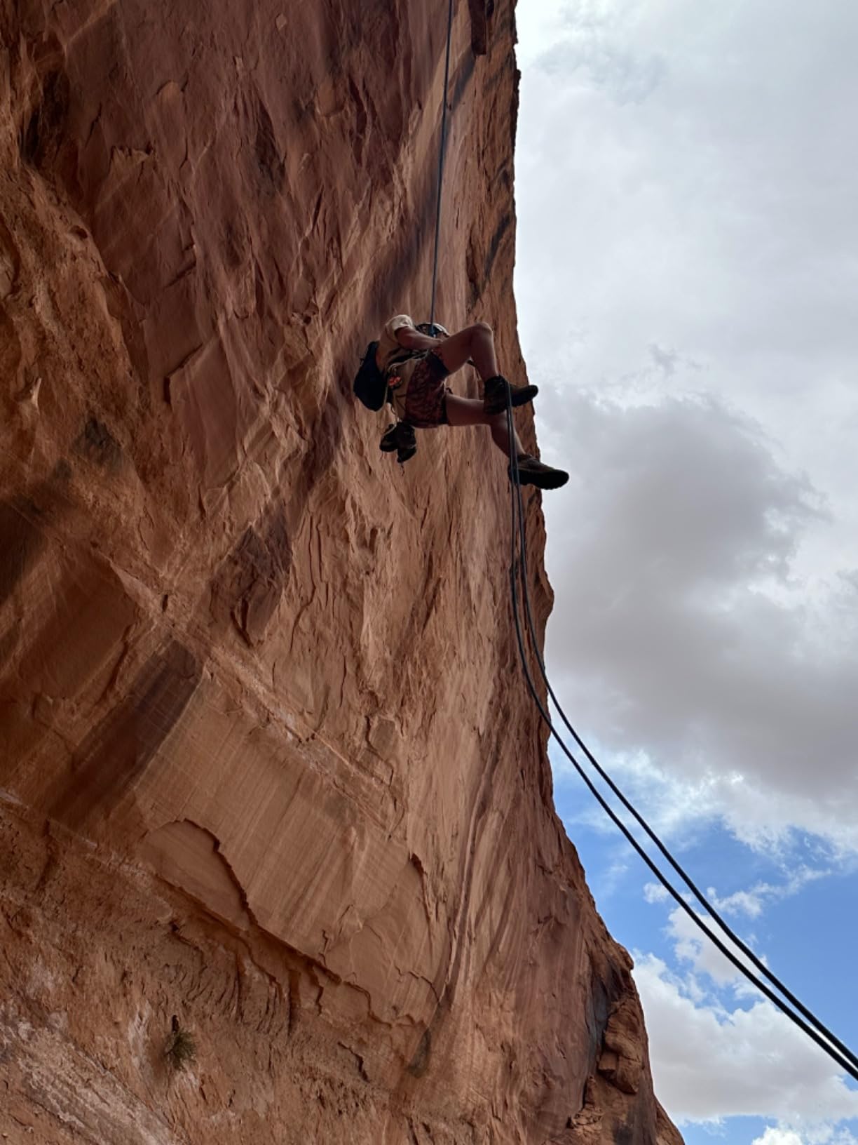 BLACK DIAMOND ATC Guide Belay Device - Customer Photo 2