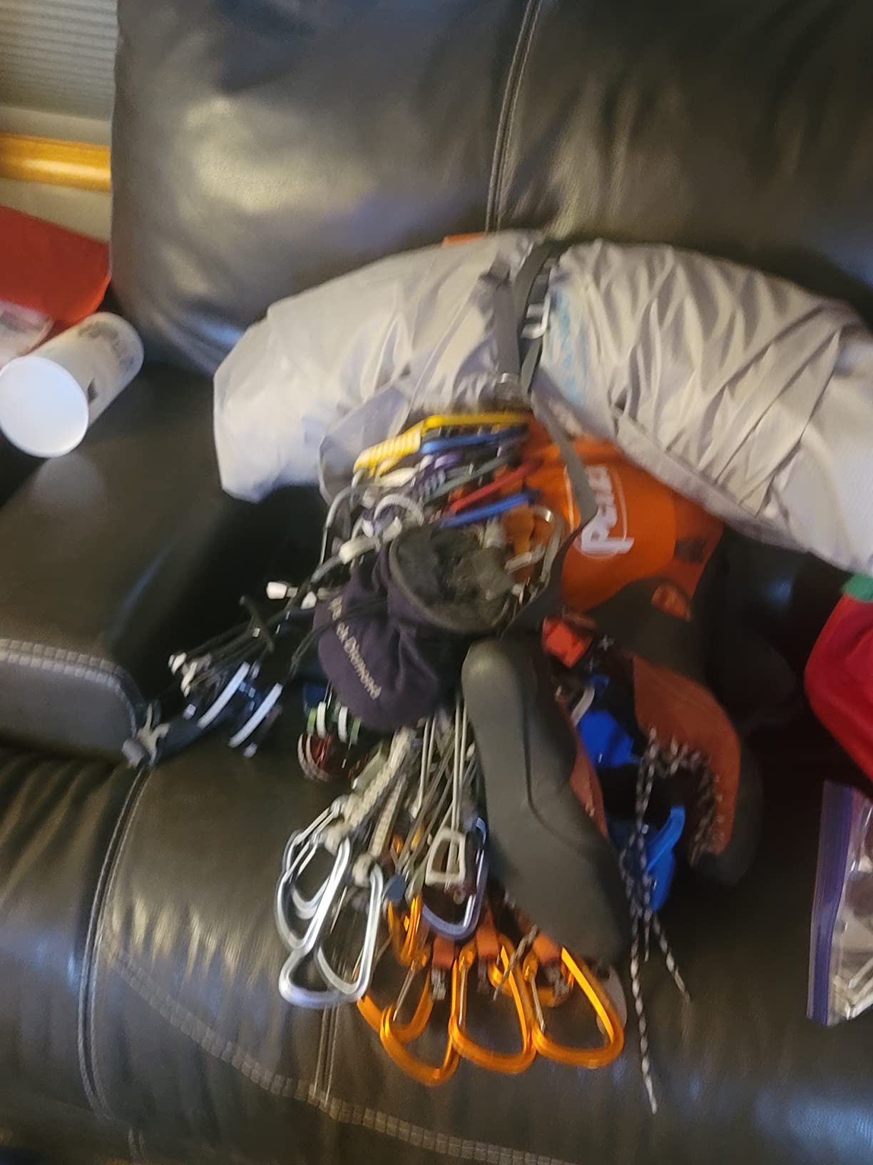 PETZL BUG Backpack - Backpack for Single-Day Multi-Pitch Climbing - Red - Customer Photo 2