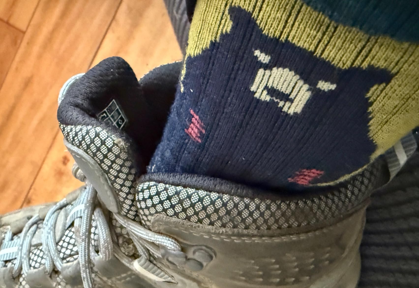 Darn Tough Bear Town Micro Crew Lightweight with Cushion Sock - Women's - Customer Photo 2