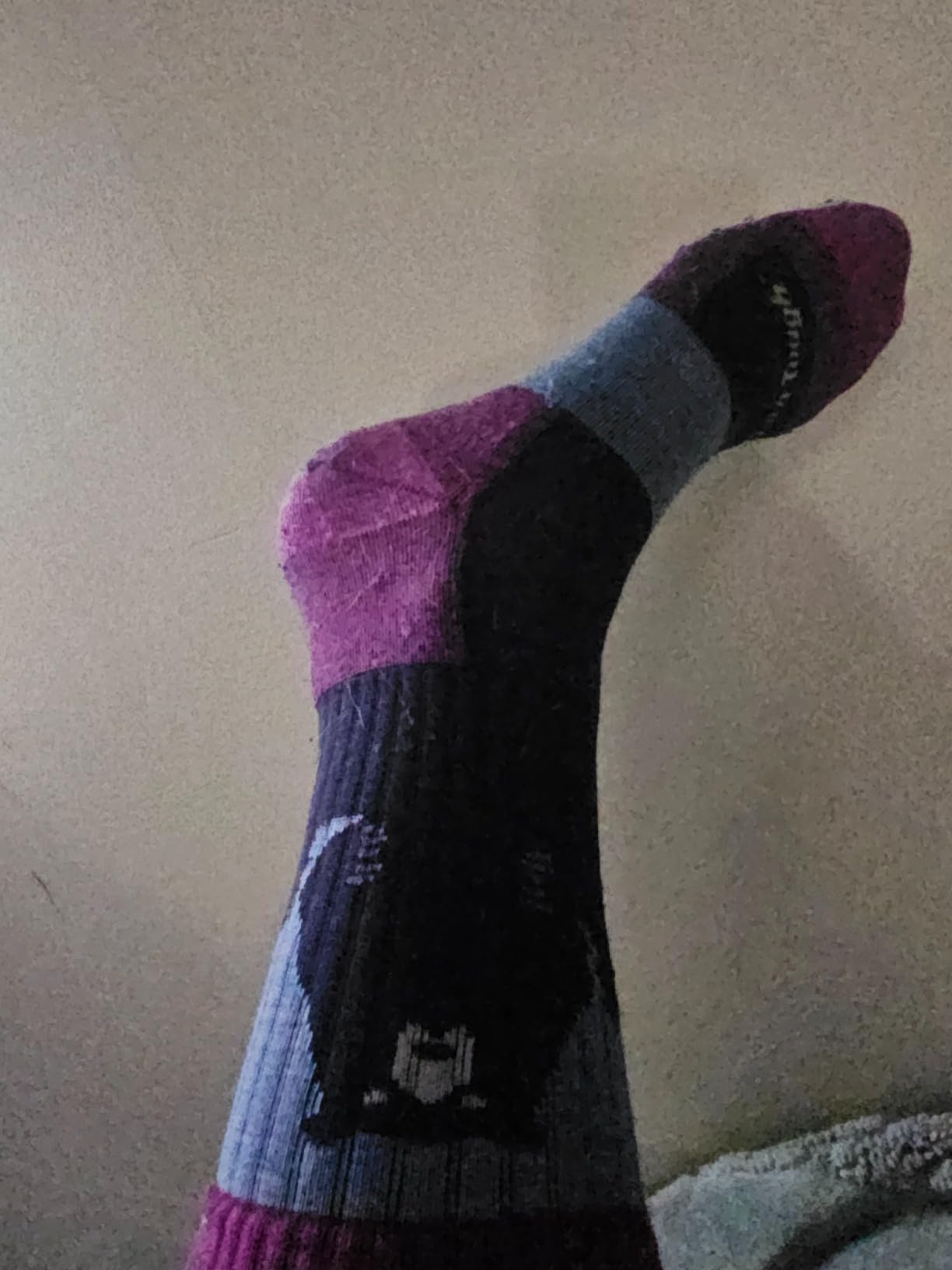 Darn Tough Bear Town Micro Crew Lightweight with Cushion Sock - Women's - Customer Photo 4