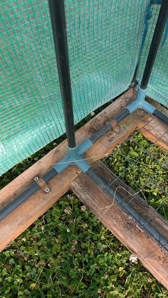 Ohuhu Greenhouse for Outdoors with Screen Windows, 57 x 57 x 76'' Walk in Plant Greenhouses Heavy Duty with Durable PE Cover, 3 Tiers 12 Shelves customer photo 2