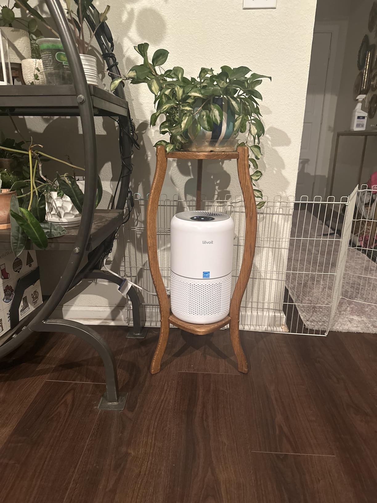 LEVOIT Air Purifier for Home Allergies Pet Hair in Bedroom, Covers Up to 1073 ft² by 56W High Torque Motor, AHAM VERIFIDE, 3-in-1 Filter with HEPA Sleep Mode, Remove Dust Smoke Odor, Core300-P, White Customer Review LEVOIT Air Purifier for Home Allergies Pet Hair in Bedroom, Covers Up to 1073 ft² by 56W High Torque Motor, AHAM VERIFIDE, 3-in-1 Filter with HEPA Sleep Mode, Remove Dust Smoke Odor, Core300-P, White - Customer Photo 2