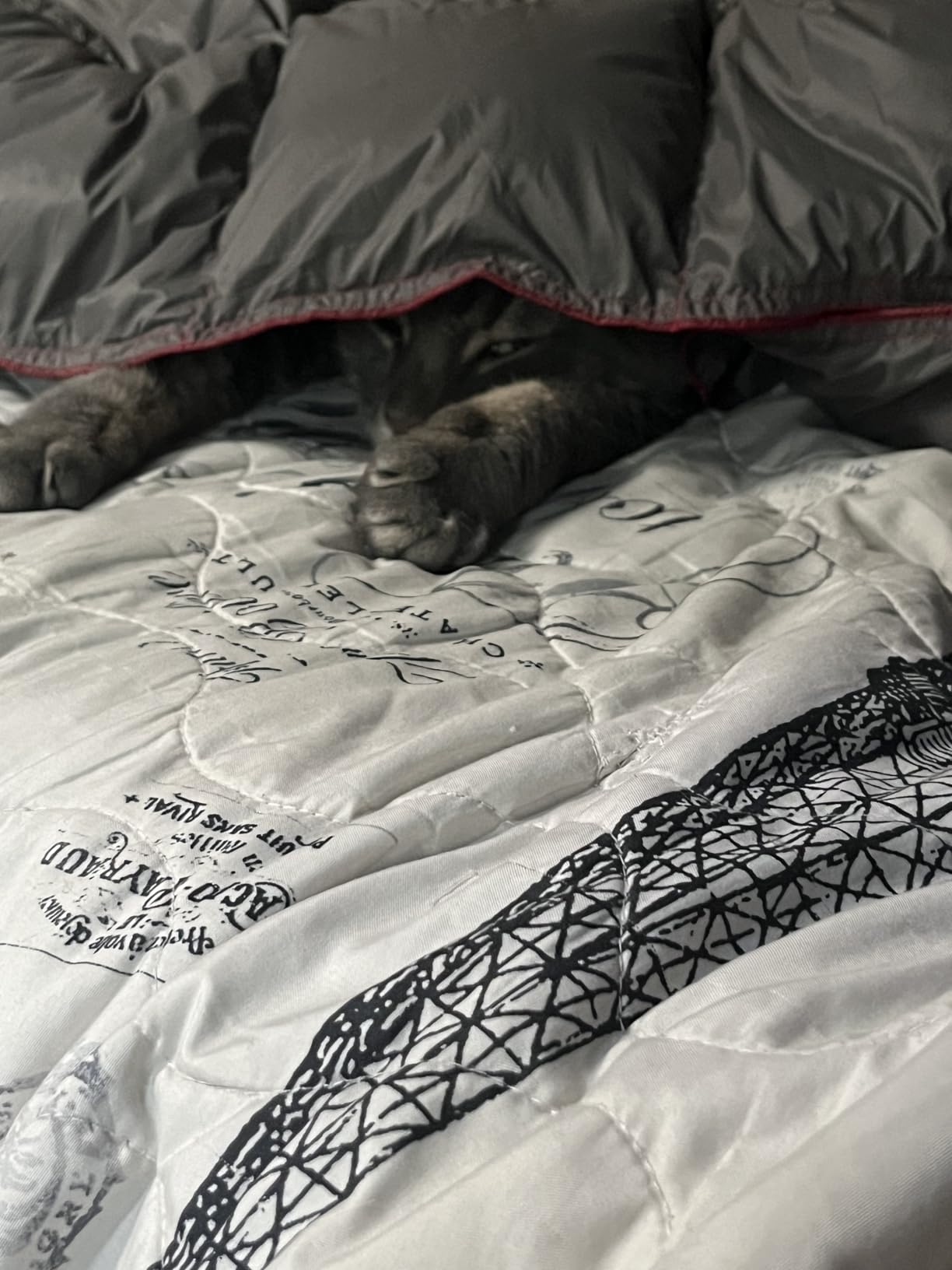 Get Out Gear Down Camping Blanket - Puffy, Packable, Lightweight and Warm | Ideal for Outdoors, Travel, Stadium, Festivals, Beach, Hammock | 650 Fill Power Water-Resistant Backpacking Quilt - Customer Photo 1