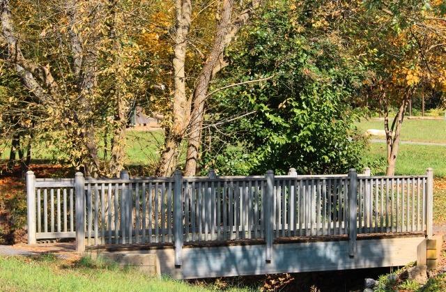 Canon EF-S 55-250mm f/4.0-5.6 is II Telephoto Zoom Lens (Renewed) - Customer Photo 2