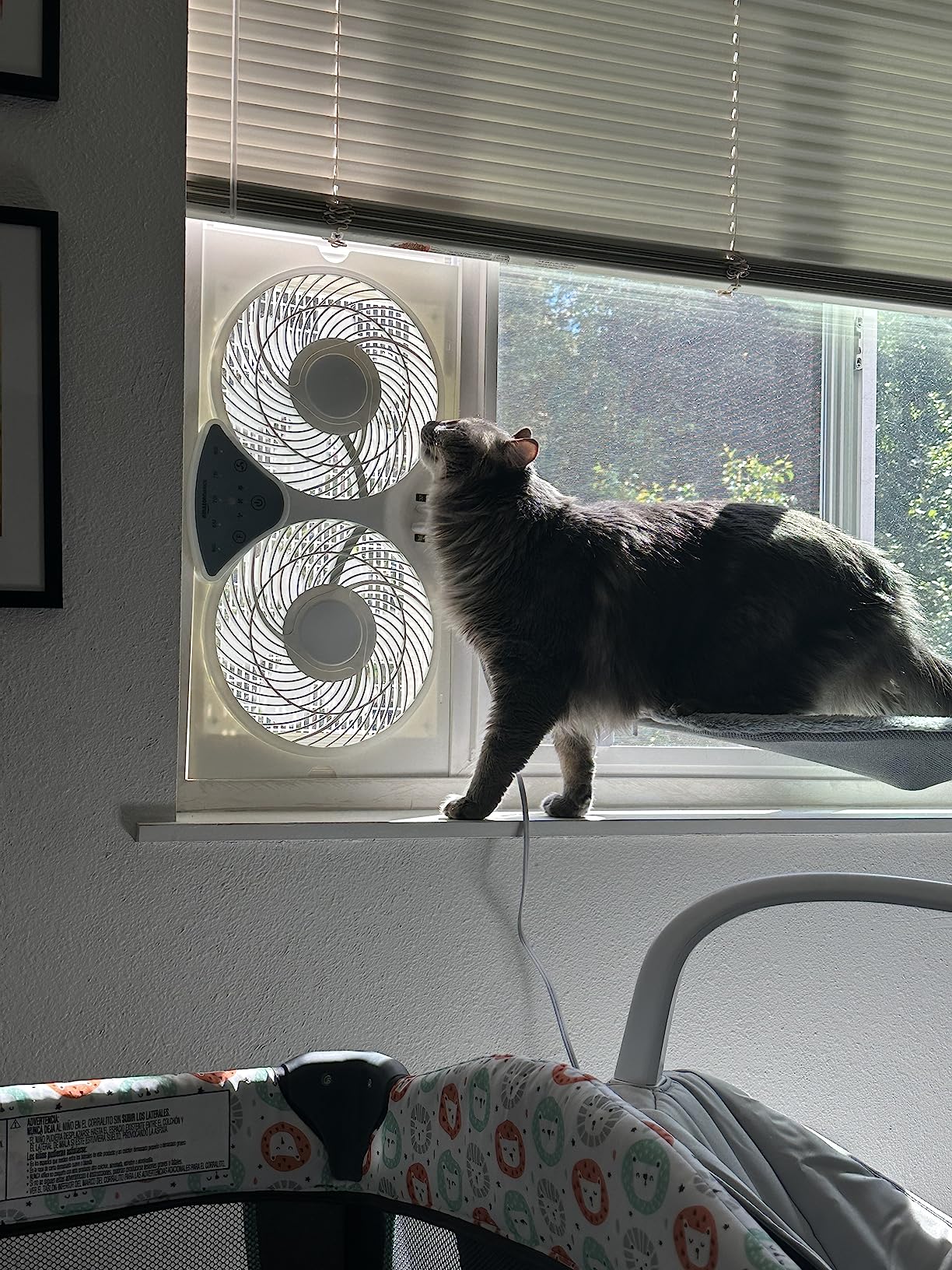 Amazon Basics Window Fans for Home Bedroom, Twin Heads, Cooling Airflow, Exhaust, Expandable Side Panel Basic Control, 2 Speeds, 68W, 9 inch, White - Customer Photo 2