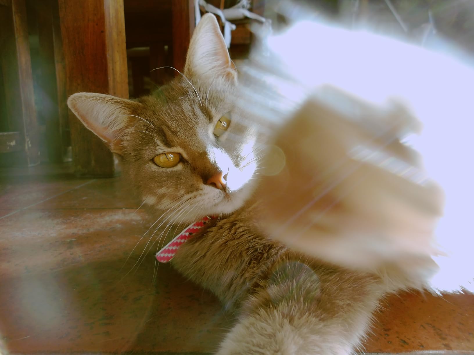 KODAK PIXPRO WPZ2 Rugged Waterproof Shockproof Dustproof WiFi Digital Camera 16MP 4X Optical Zoom 1080P Full HD Video Vlogging Camera 2.7